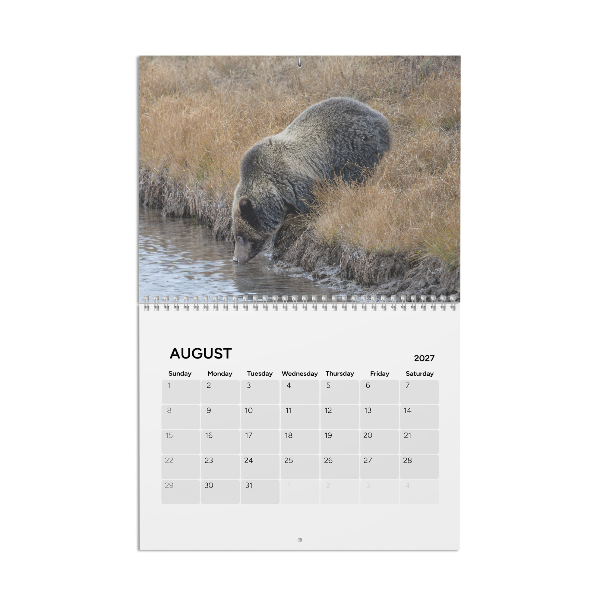 2027 Wall Calendar with high resolution images of Birds and Mammals in their natural habitat - Image 9