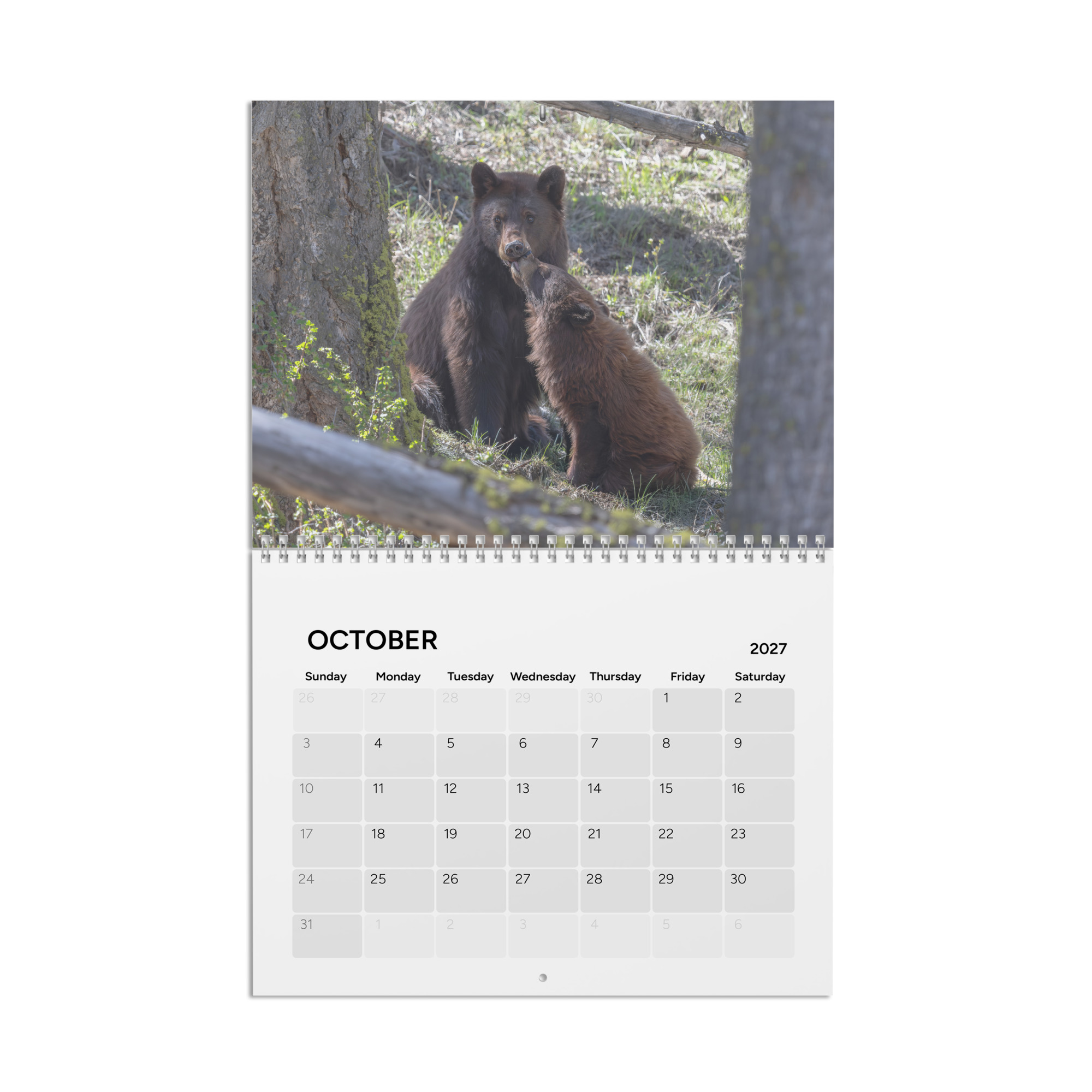 2027 Wall Calendar with high resolution images of Birds and Mammals in their natural habitat - Image 11