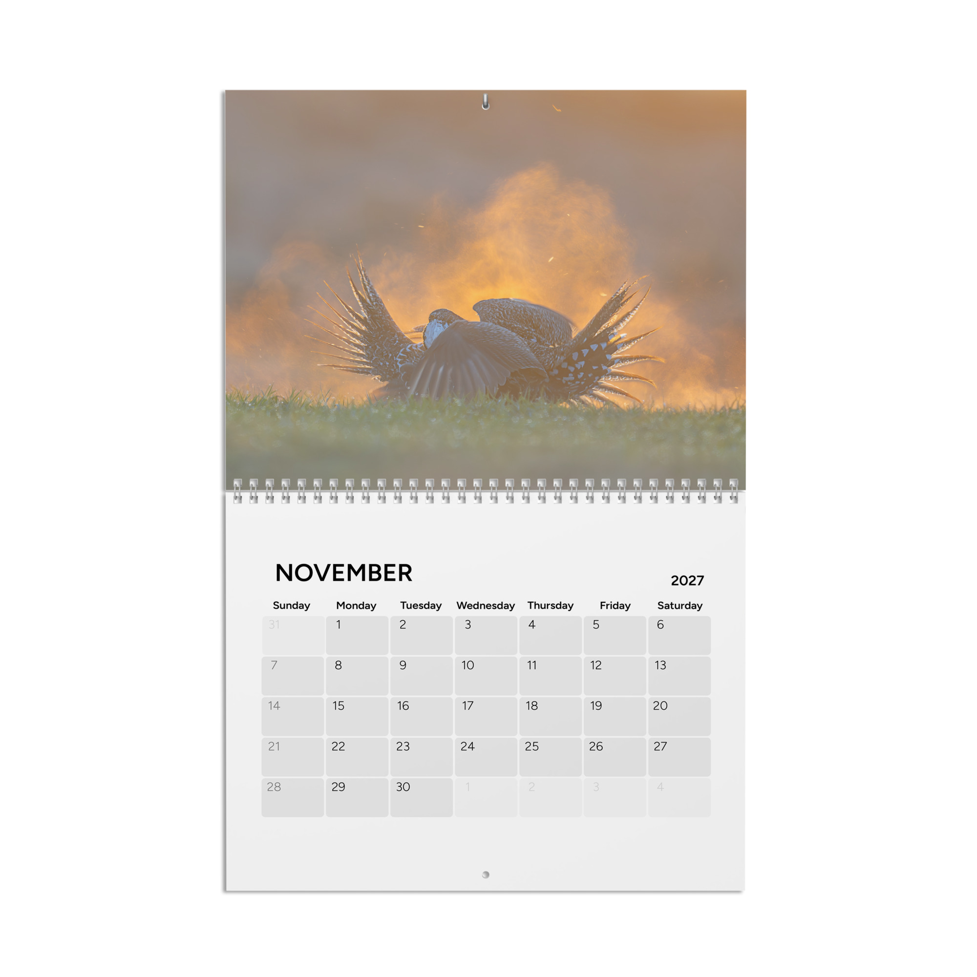 2027 Wall Calendar with high resolution images of Birds and Mammals in their natural habitat - Image 12