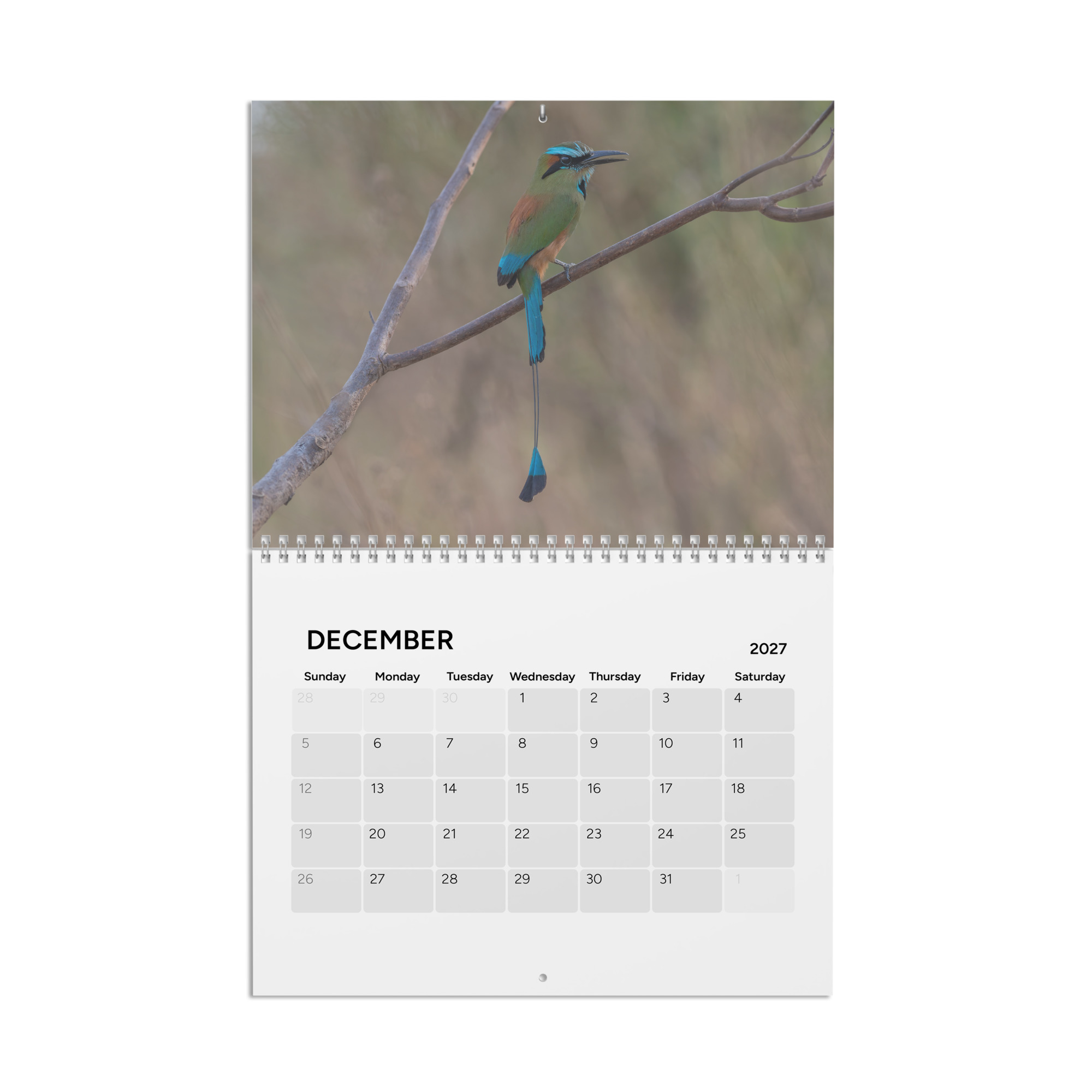 2027 Wall Calendar with high resolution images of Birds and Mammals in their natural habitat - Image 13
