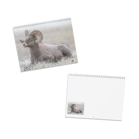 2027 Wall Calendar with high resolution images of Birds and Mammals in their natural habitat
