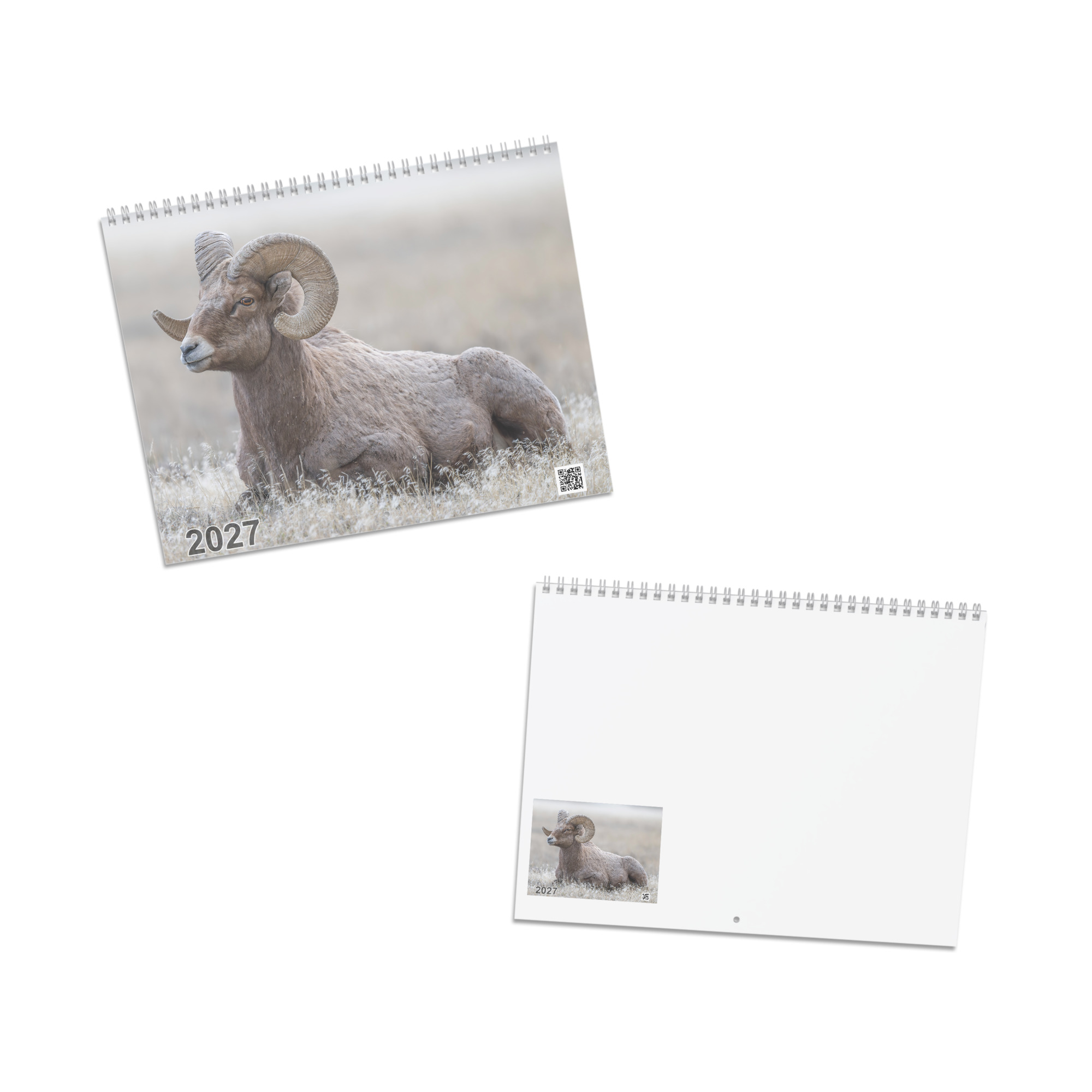2027 Wall Calendar with high resolution images of Birds and Mammals in their natural habitat