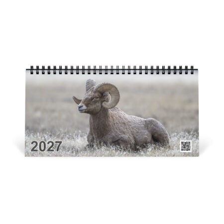 2027 Desktop Calendar with high resolution images of Birds and Mammals in their natural habitat