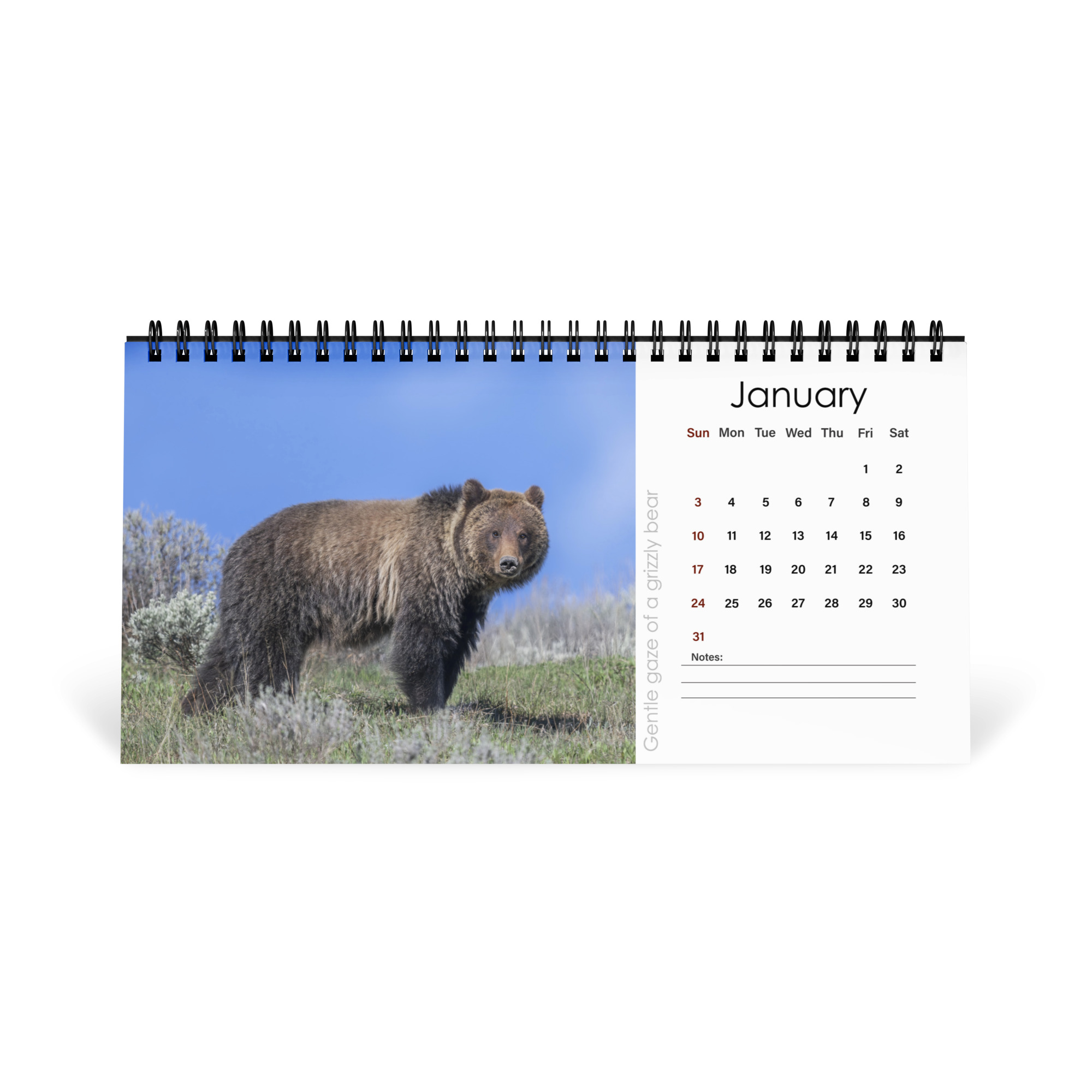 2027 Desktop Calendar with high resolution images of Birds and Mammals in their natural habitat - Image 2