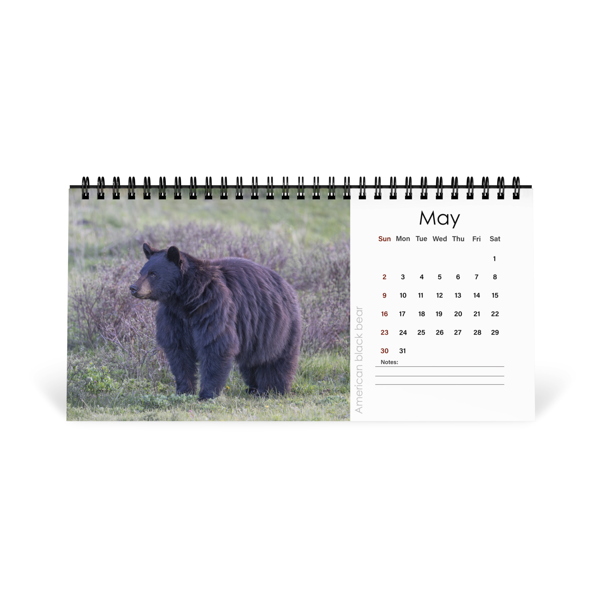 2027 Desktop Calendar with high resolution images of Birds and Mammals in their natural habitat - Image 6