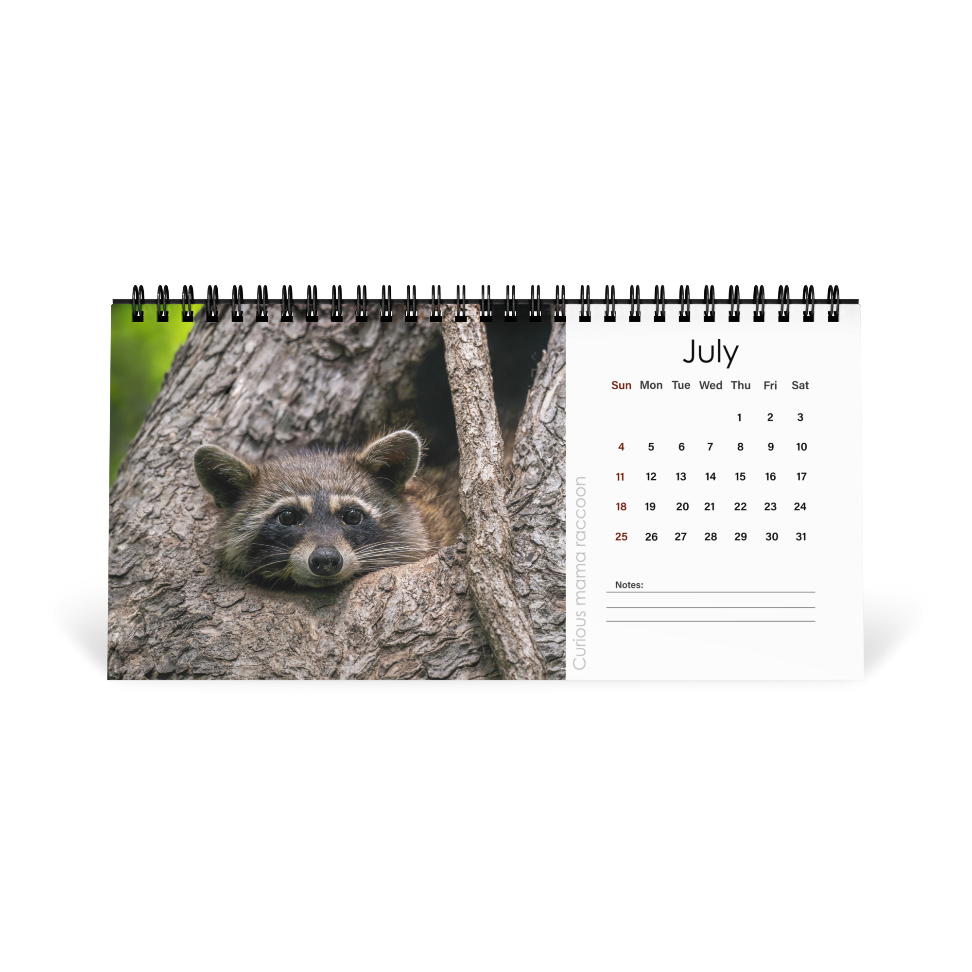 2027 Desktop Calendar with high resolution images of Birds and Mammals in their natural habitat - Image 8