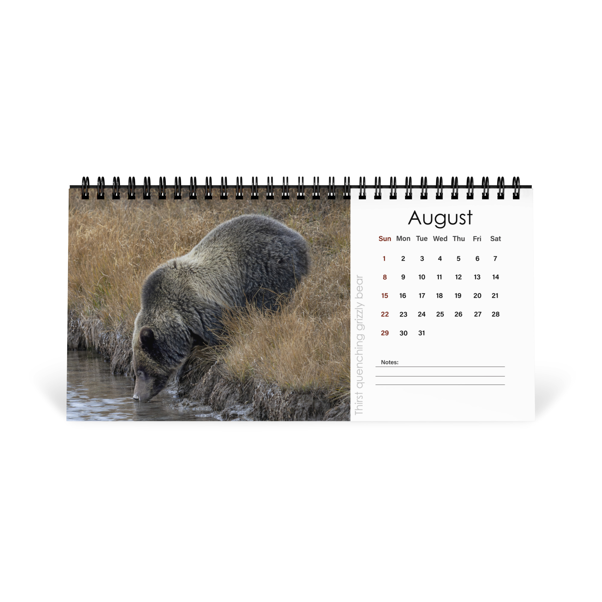2027 Desktop Calendar with high resolution images of Birds and Mammals in their natural habitat - Image 9