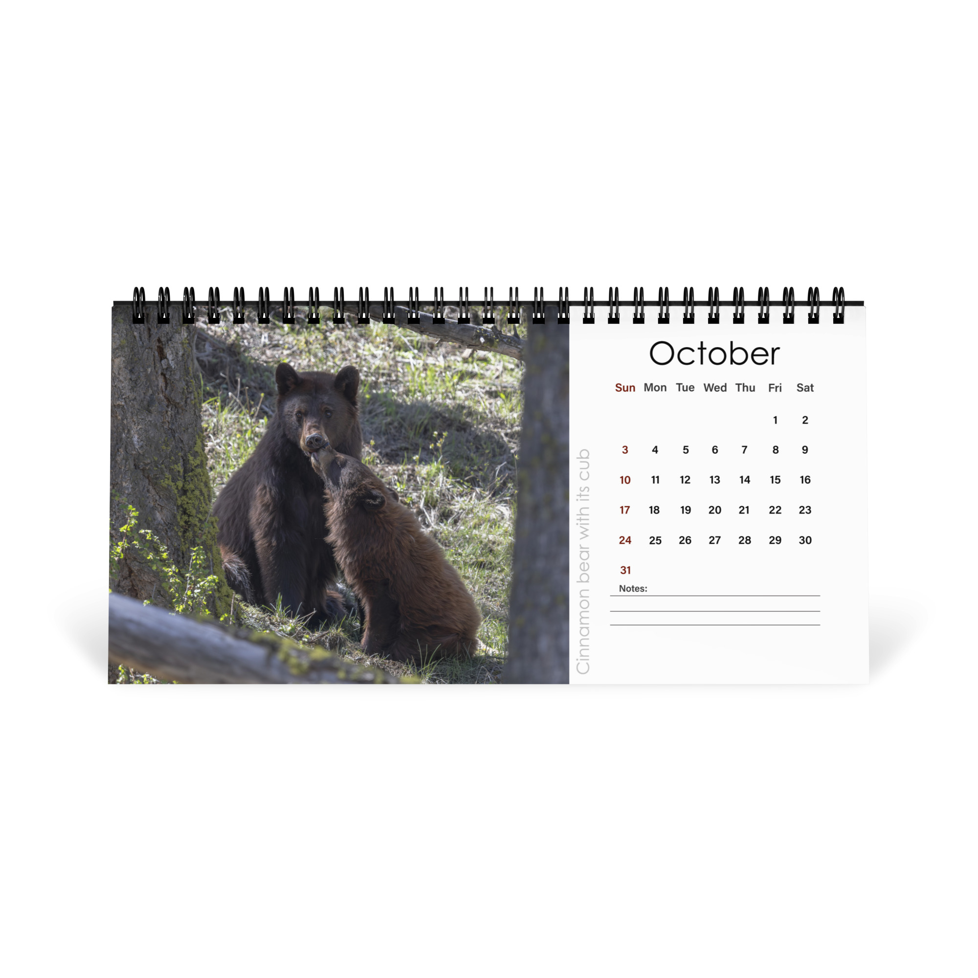 2027 Desktop Calendar with high resolution images of Birds and Mammals in their natural habitat - Image 11