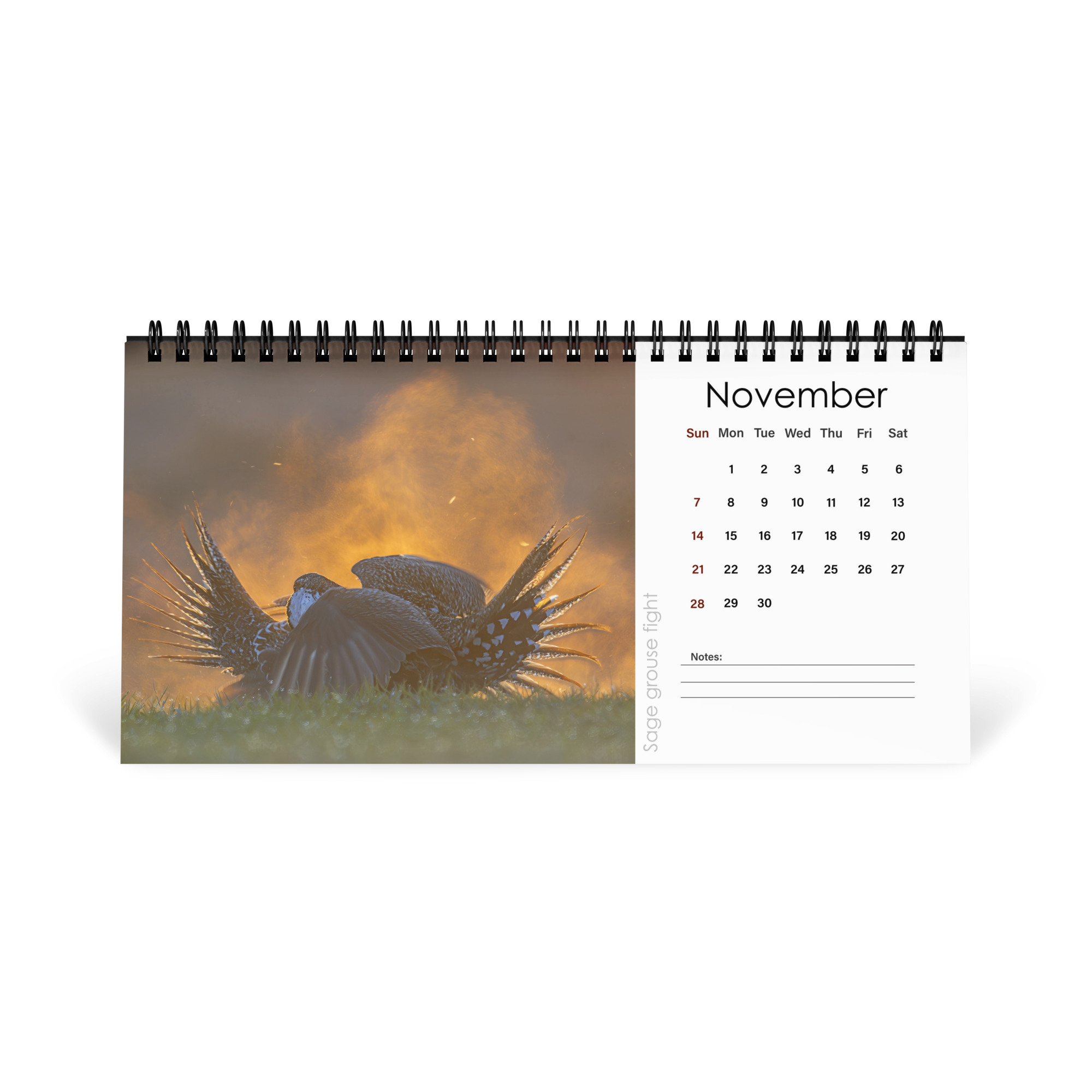 2027 Desktop Calendar with high resolution images of Birds and Mammals in their natural habitat - Image 12
