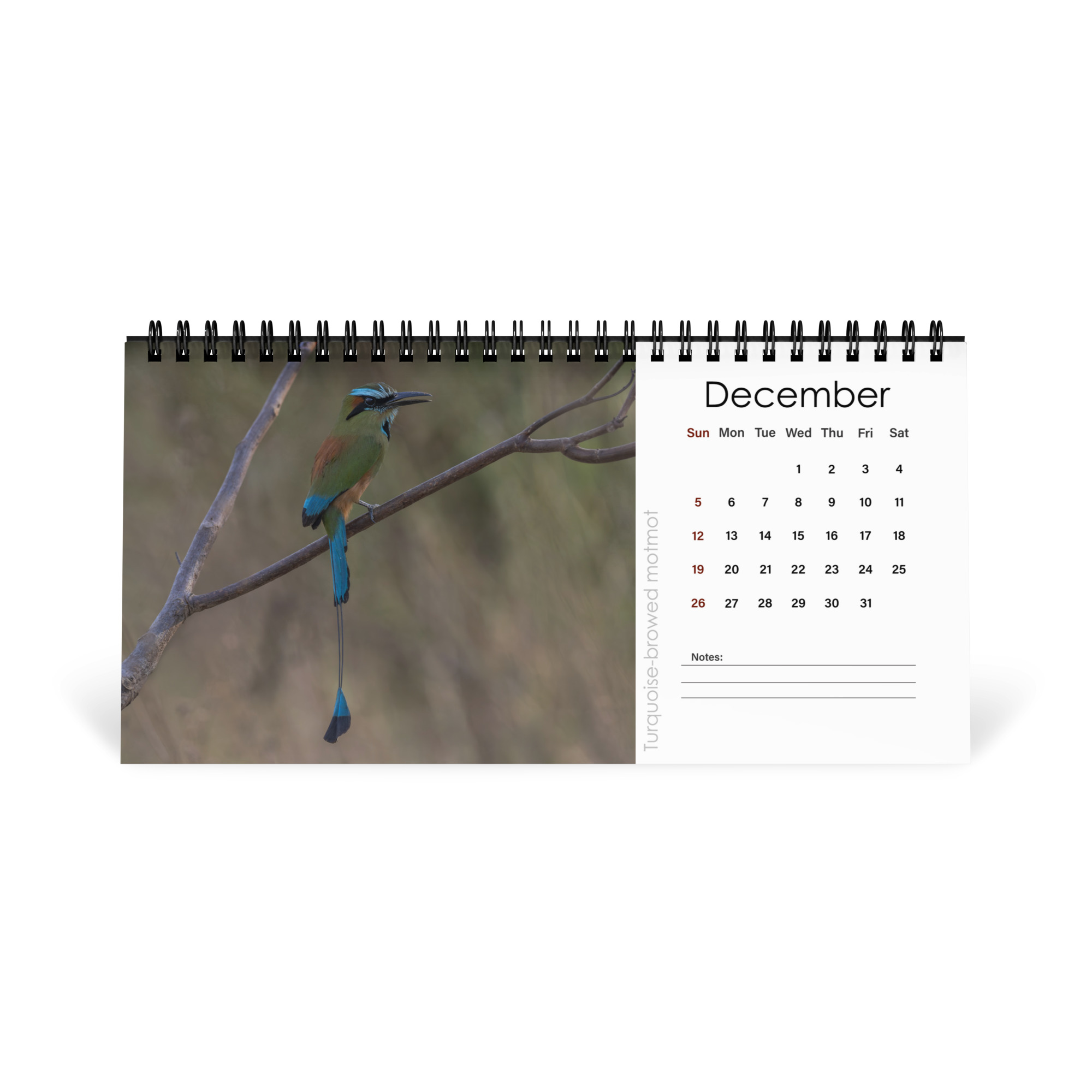 2027 Desktop Calendar with high resolution images of Birds and Mammals in their natural habitat - Image 13