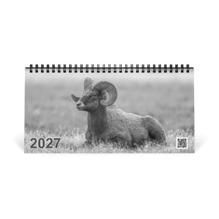A Year in the Wild: Monochrome 2027 Wildlife Photography Desktop Calendar – Birds & Mammals in Their Natural Habitats
