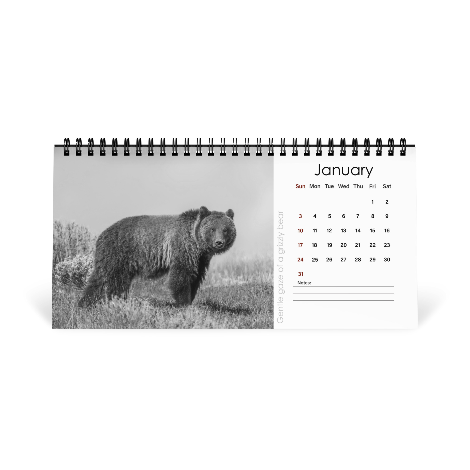 A Year in the Wild: Monochrome 2027 Wildlife Photography Desktop Calendar – Birds & Mammals in Their Natural Habitats - Image 2