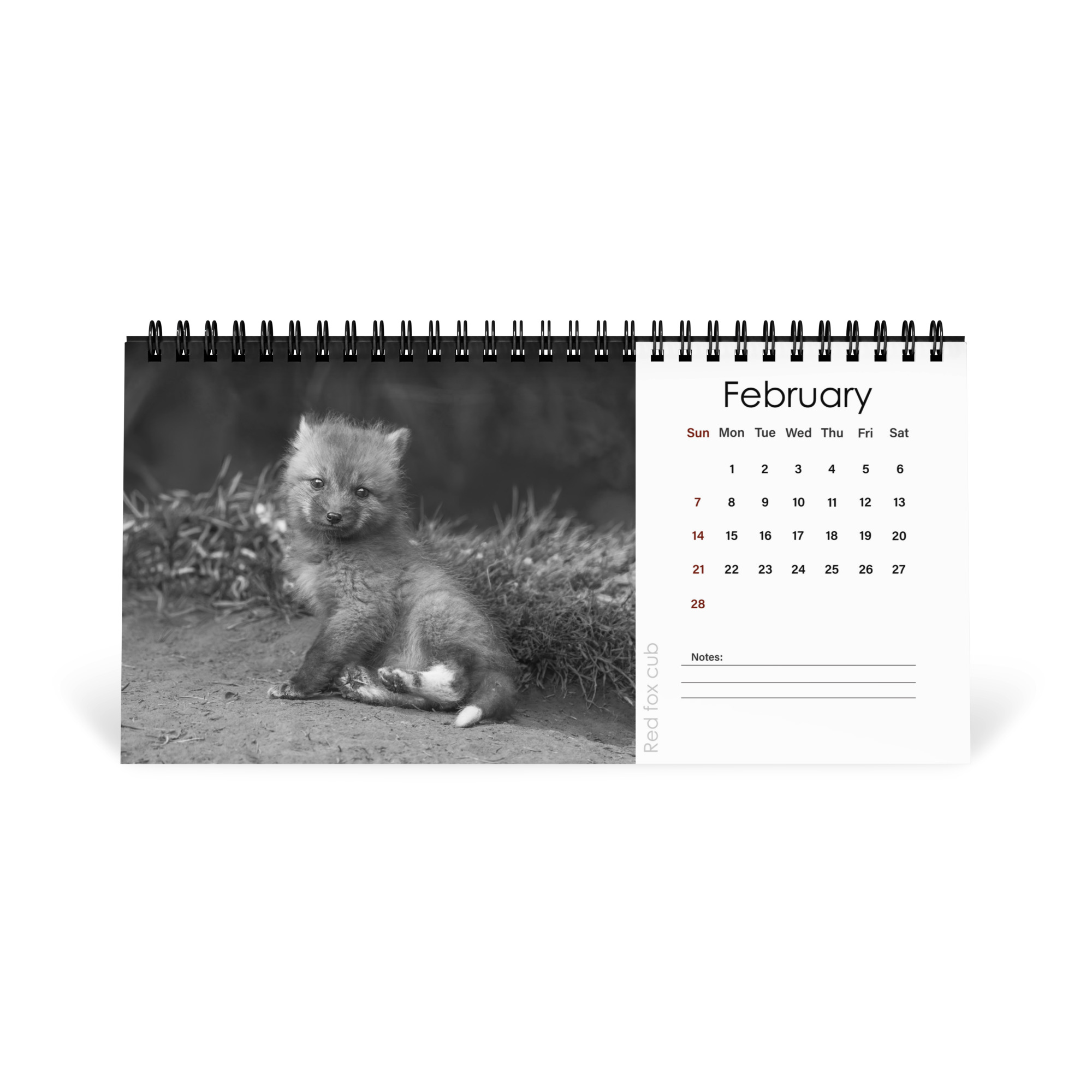 A Year in the Wild: Monochrome 2027 Wildlife Photography Desktop Calendar – Birds & Mammals in Their Natural Habitats - Image 3