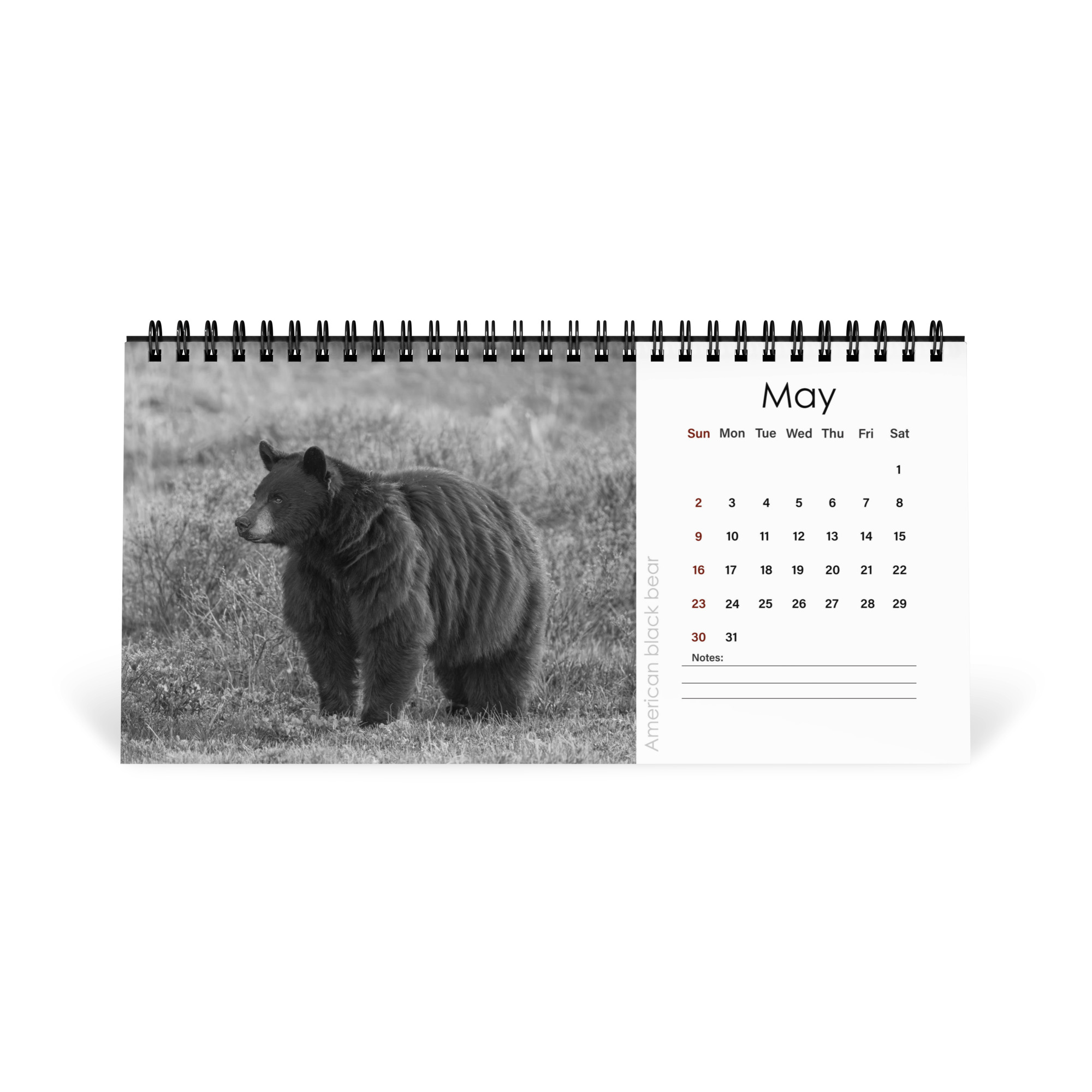 A Year in the Wild: Monochrome 2027 Wildlife Photography Desktop Calendar – Birds & Mammals in Their Natural Habitats - Image 6
