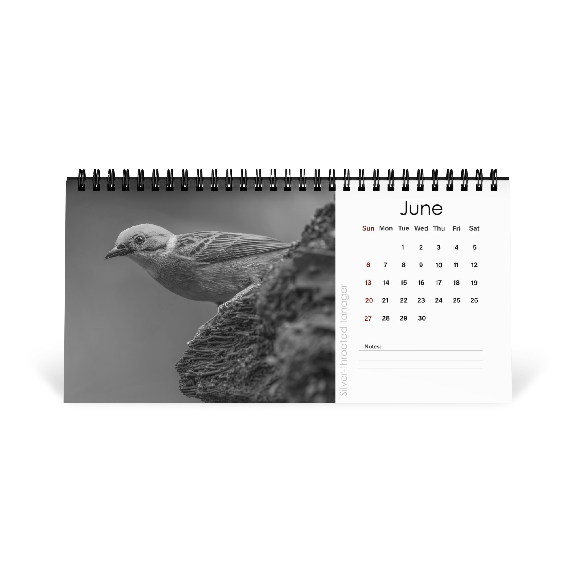 A Year in the Wild: Monochrome 2027 Wildlife Photography Desktop Calendar – Birds & Mammals in Their Natural Habitats - Image 7