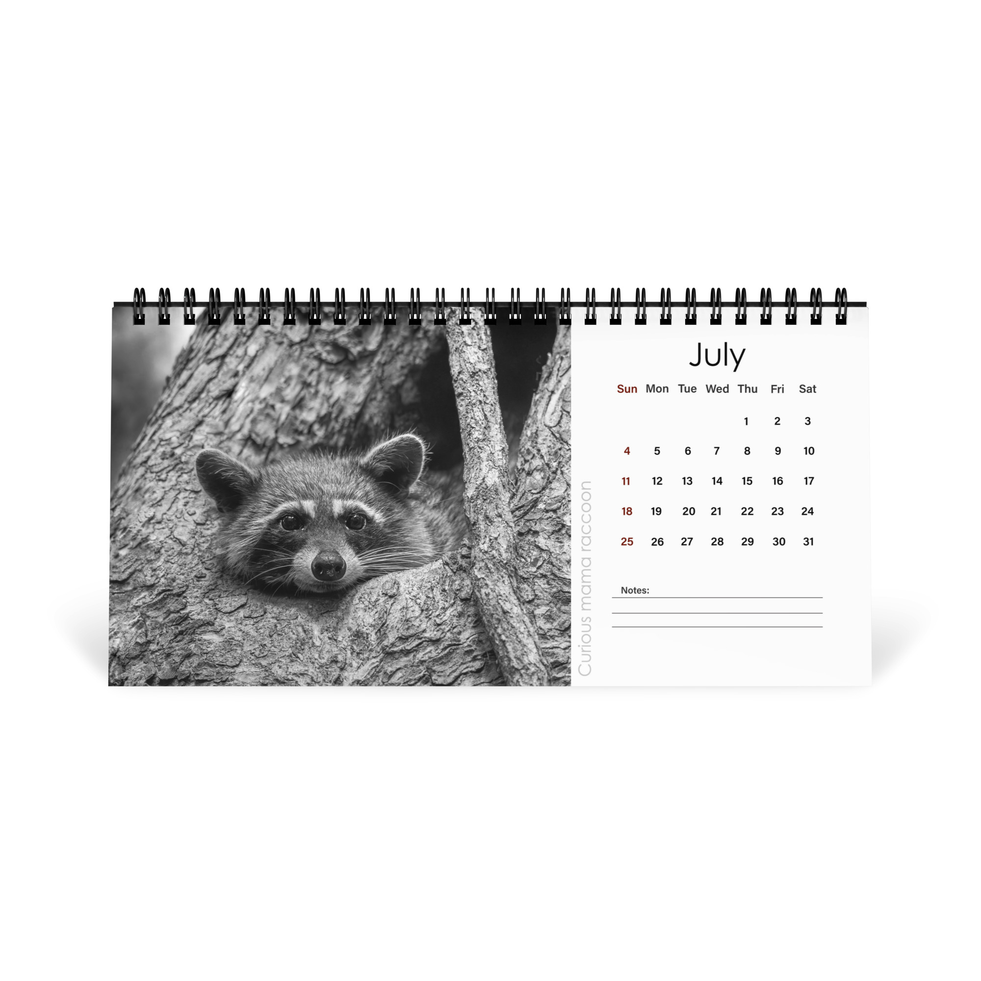 A Year in the Wild: Monochrome 2027 Wildlife Photography Desktop Calendar – Birds & Mammals in Their Natural Habitats - Image 8