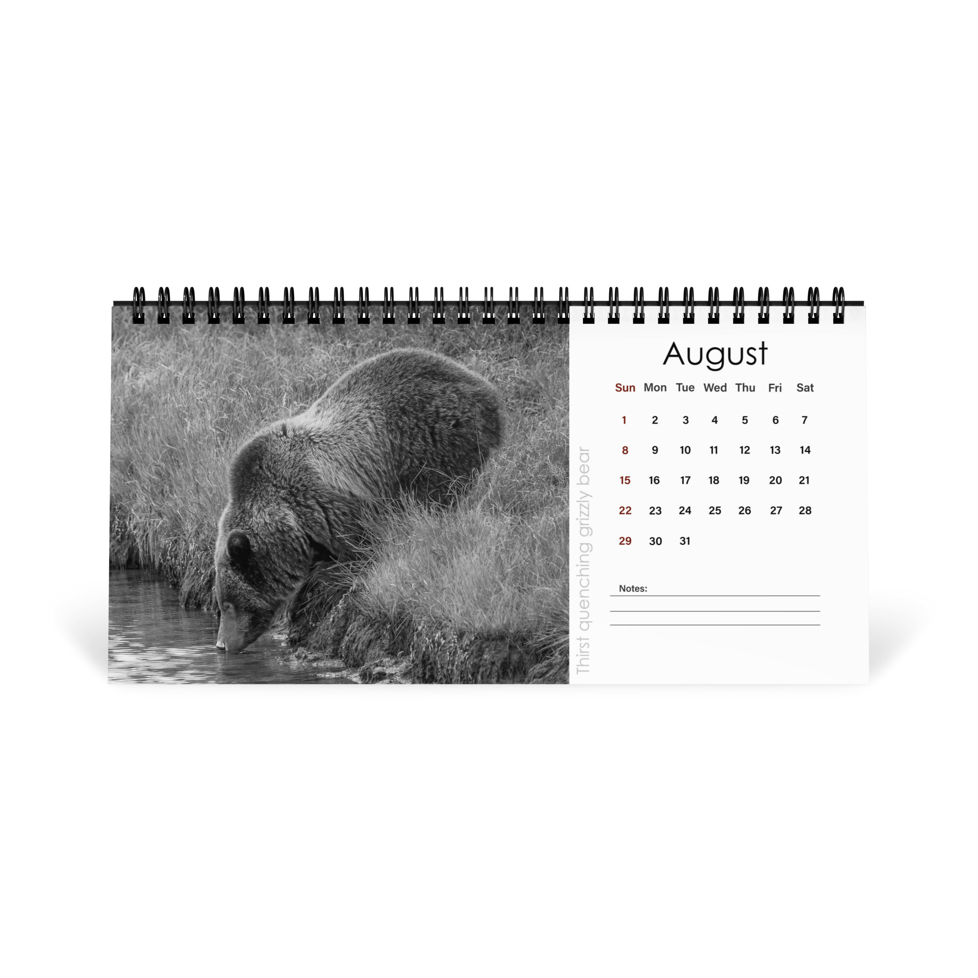 A Year in the Wild: Monochrome 2027 Wildlife Photography Desktop Calendar – Birds & Mammals in Their Natural Habitats - Image 9