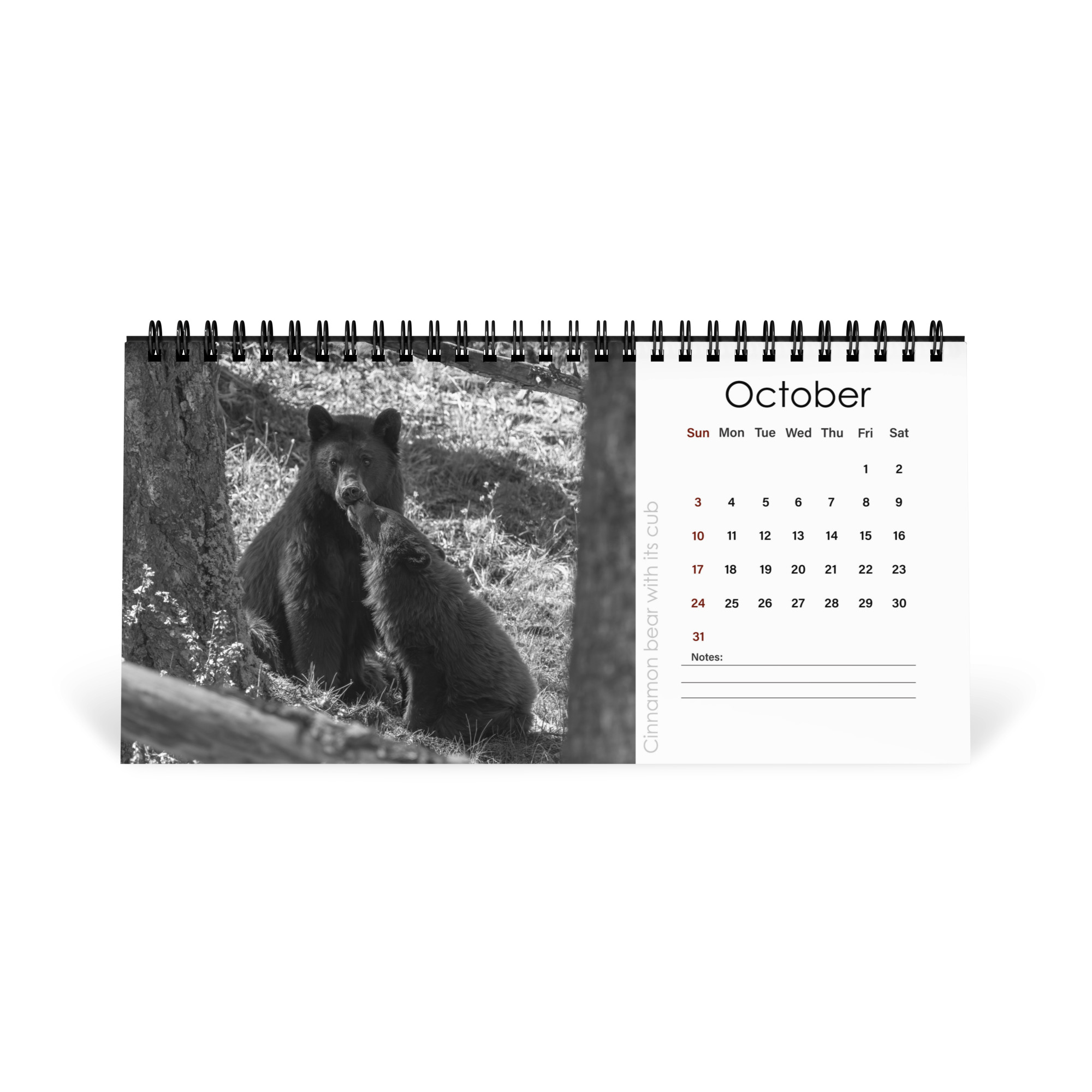 A Year in the Wild: Monochrome 2027 Wildlife Photography Desktop Calendar – Birds & Mammals in Their Natural Habitats - Image 11