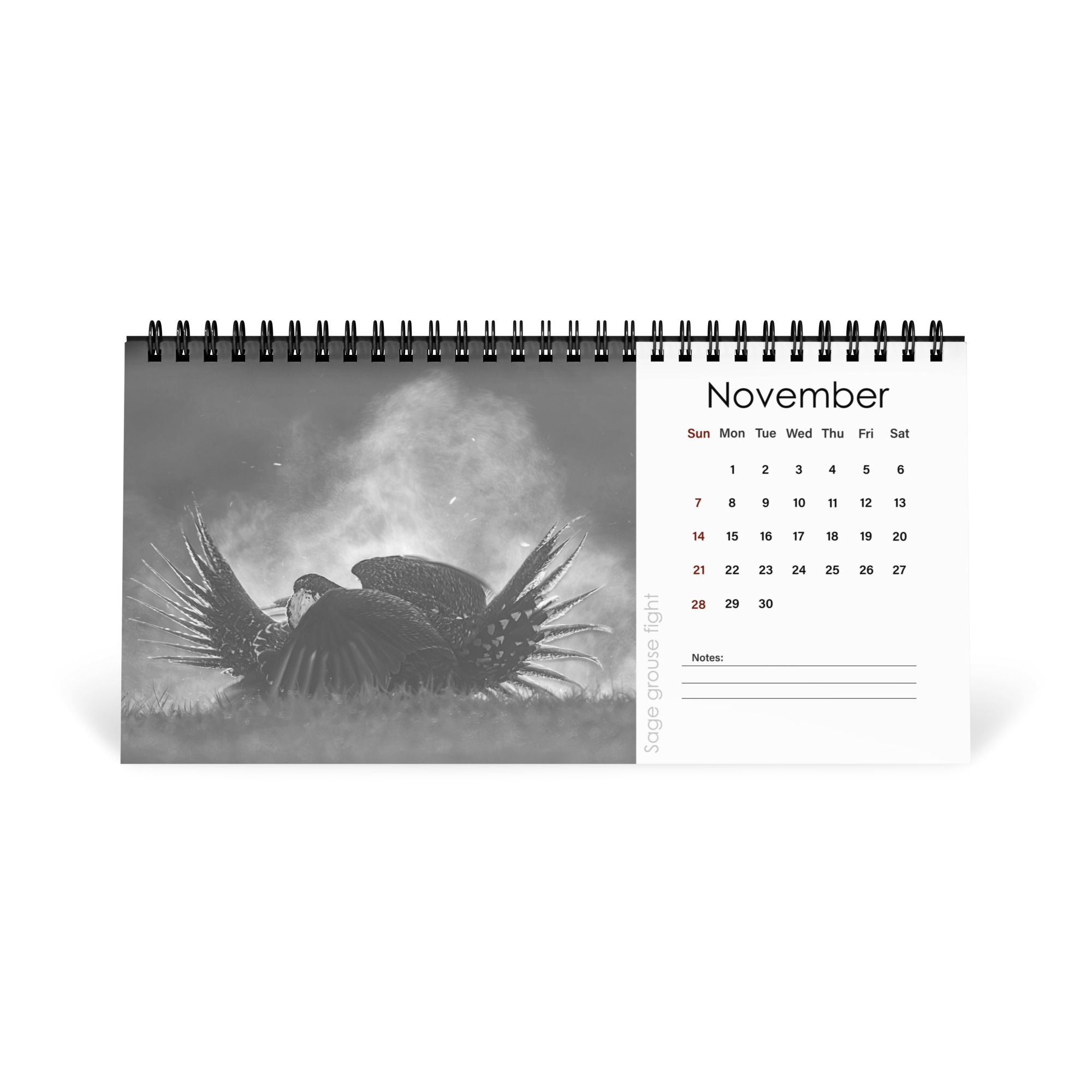 A Year in the Wild: Monochrome 2027 Wildlife Photography Desktop Calendar – Birds & Mammals in Their Natural Habitats - Image 12
