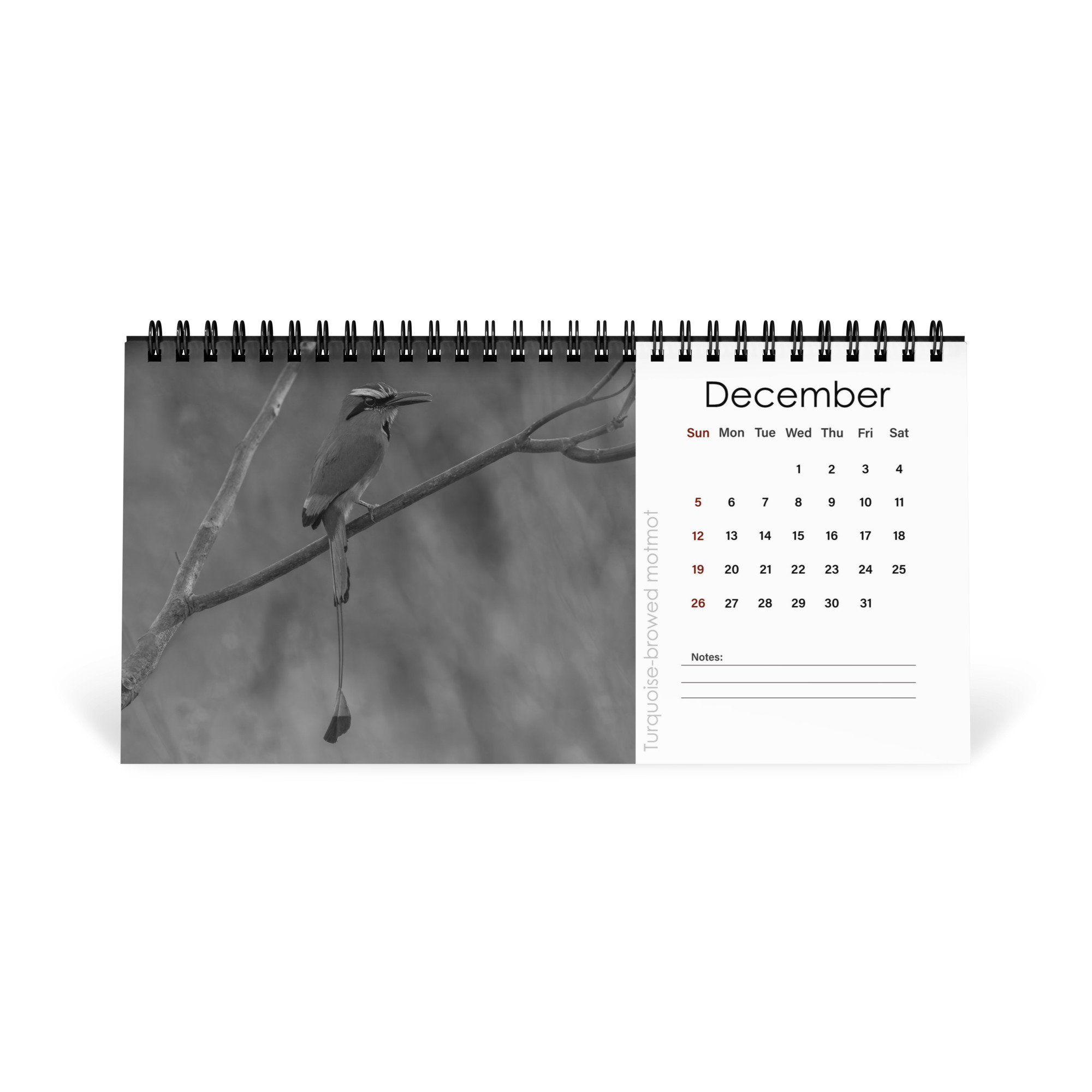 A Year in the Wild: Monochrome 2027 Wildlife Photography Desktop Calendar – Birds & Mammals in Their Natural Habitats - Image 13