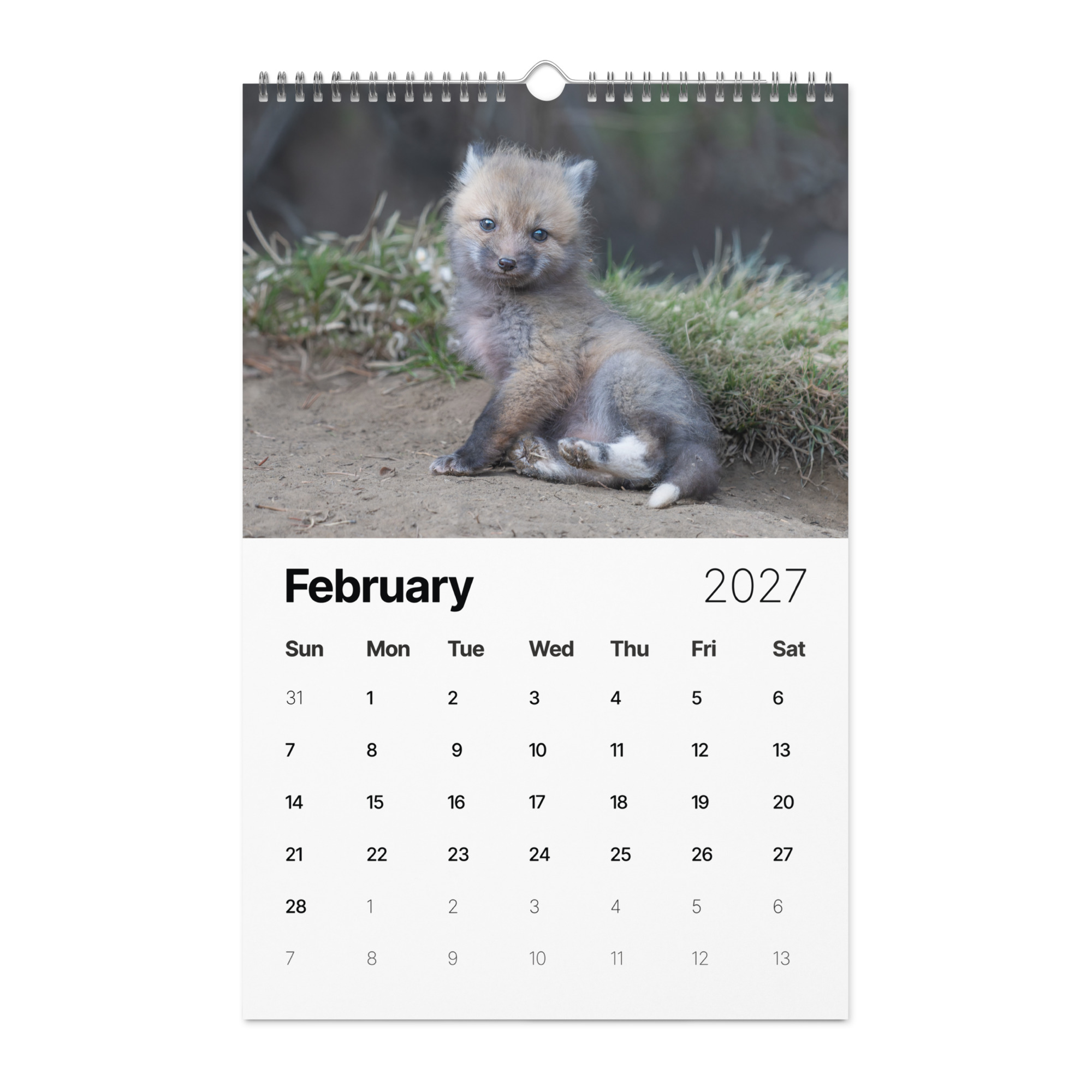 2027 Wall Calendar with high resolution images of Birds and Mammals in their natural habitat - Image 3