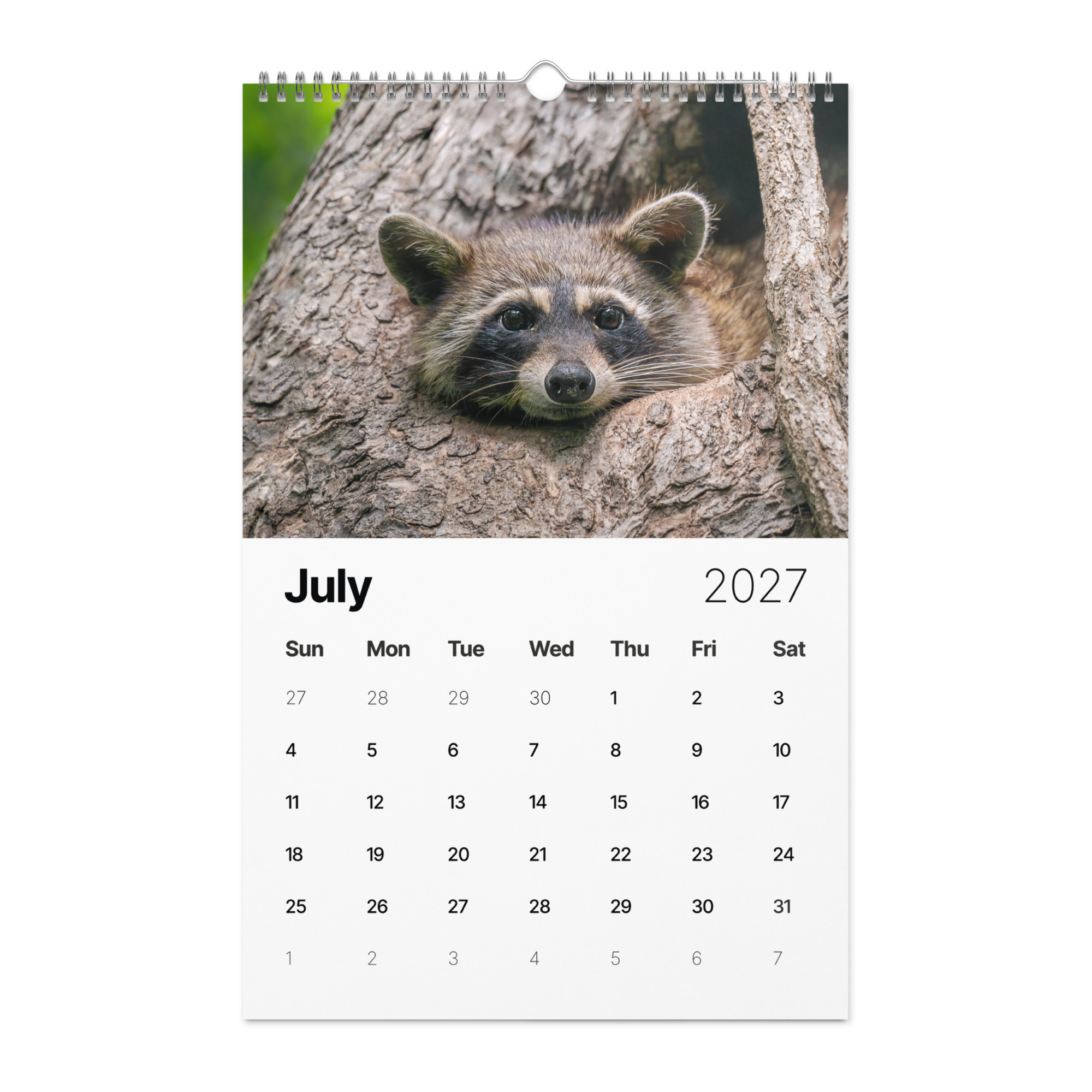 2027 Wall Calendar with high resolution images of Birds and Mammals in their natural habitat - Image 8