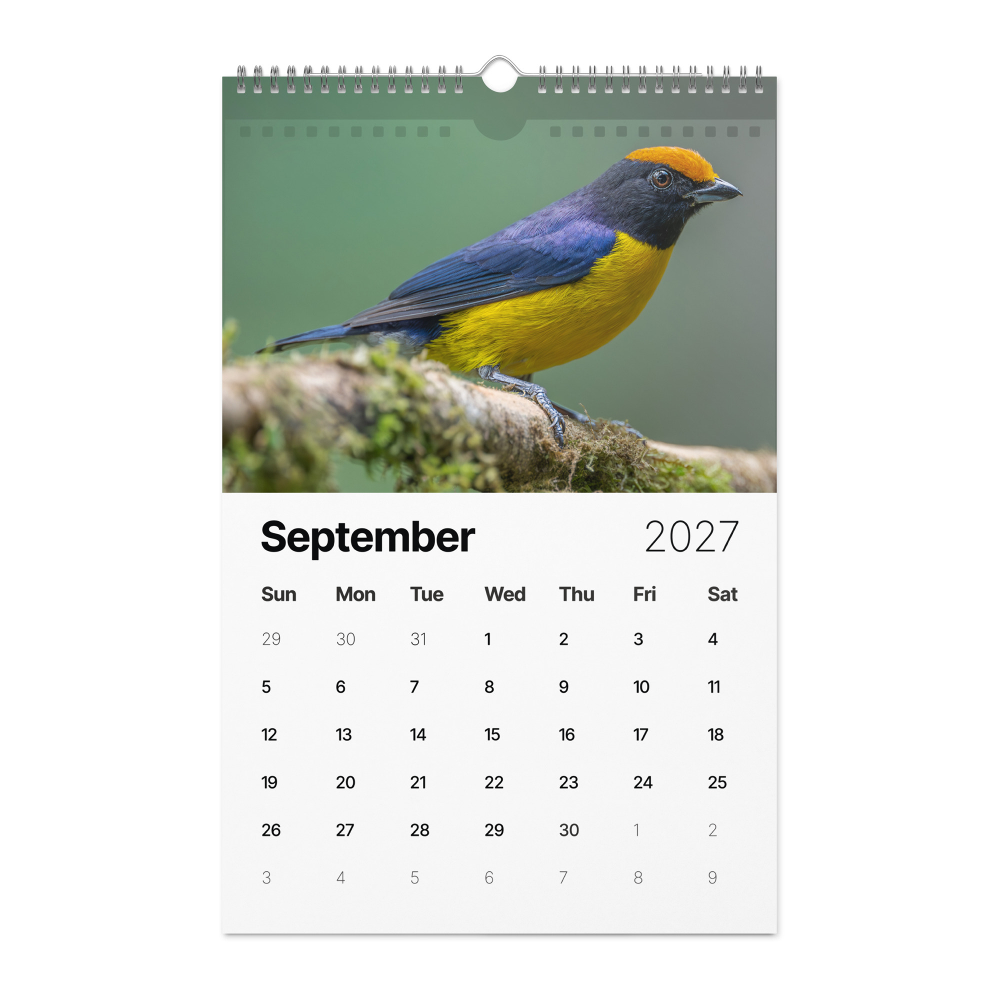 2027 Wall Calendar with high resolution images of Birds and Mammals in their natural habitat - Image 10