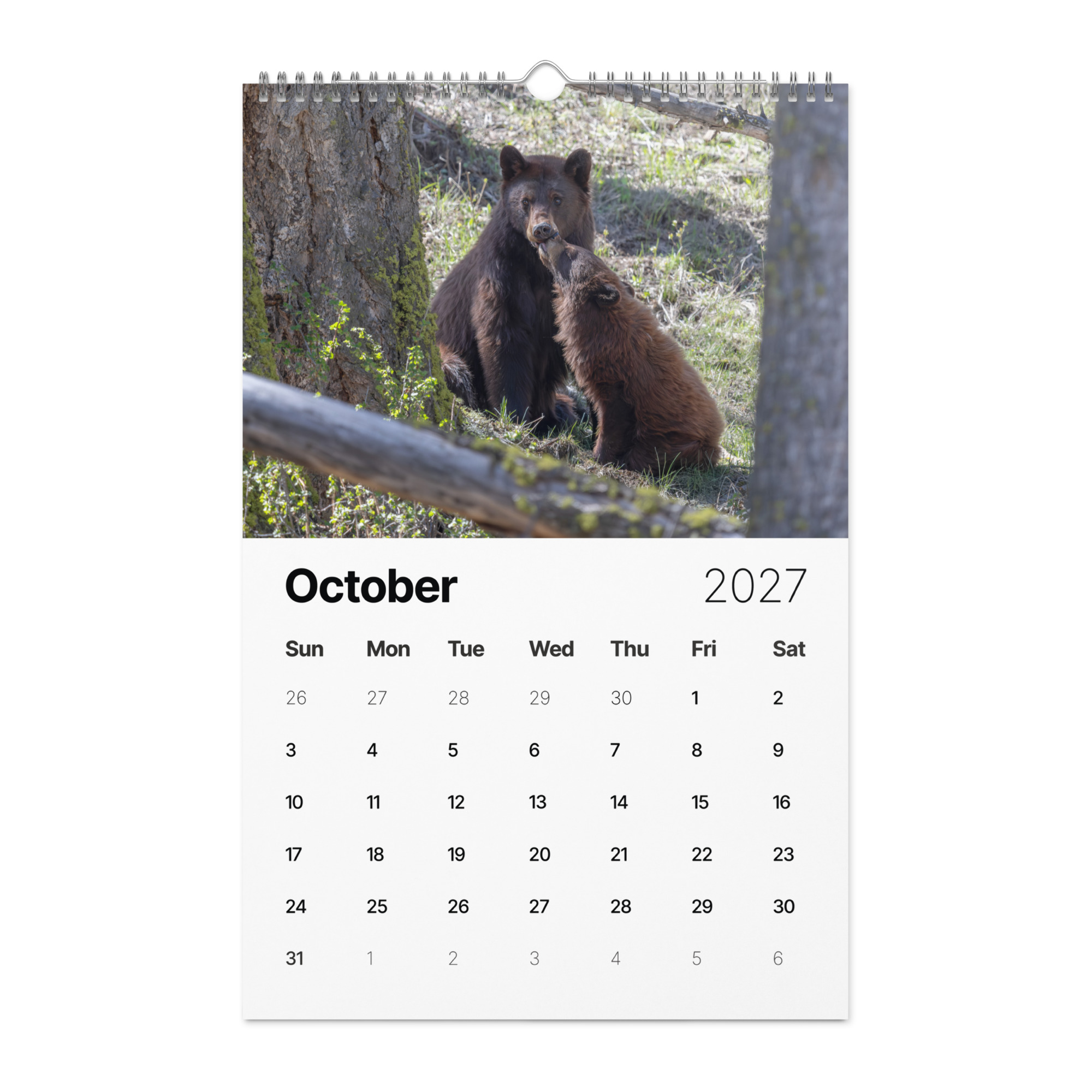 2027 Wall Calendar with high resolution images of Birds and Mammals in their natural habitat - Image 11