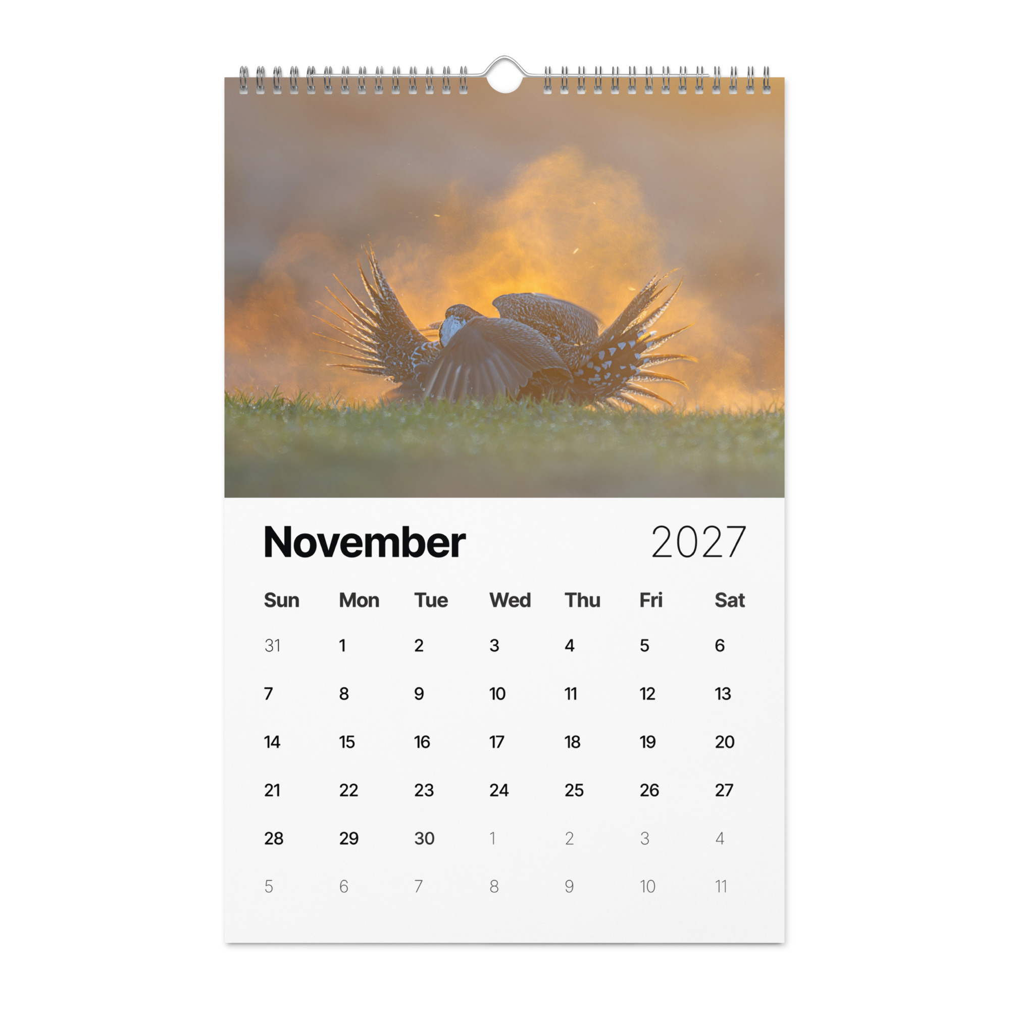 2027 Wall Calendar with high resolution images of Birds and Mammals in their natural habitat - Image 12