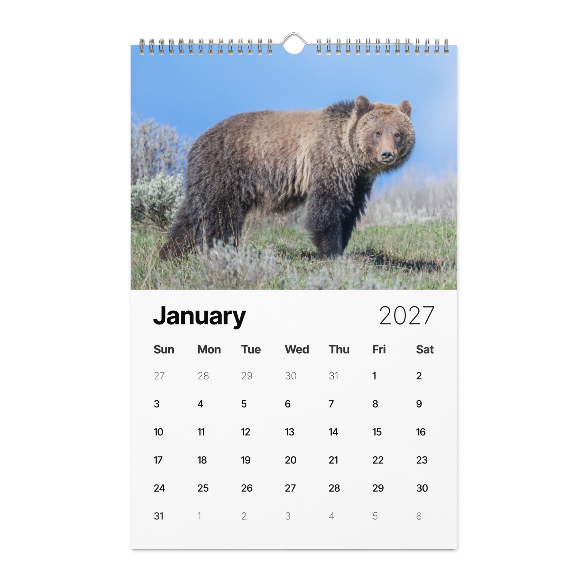 A Year in the Wild: 2027 Wildlife Photography Wall Calendar – Birds & Mammals in Their Natural Habitats - Image 2