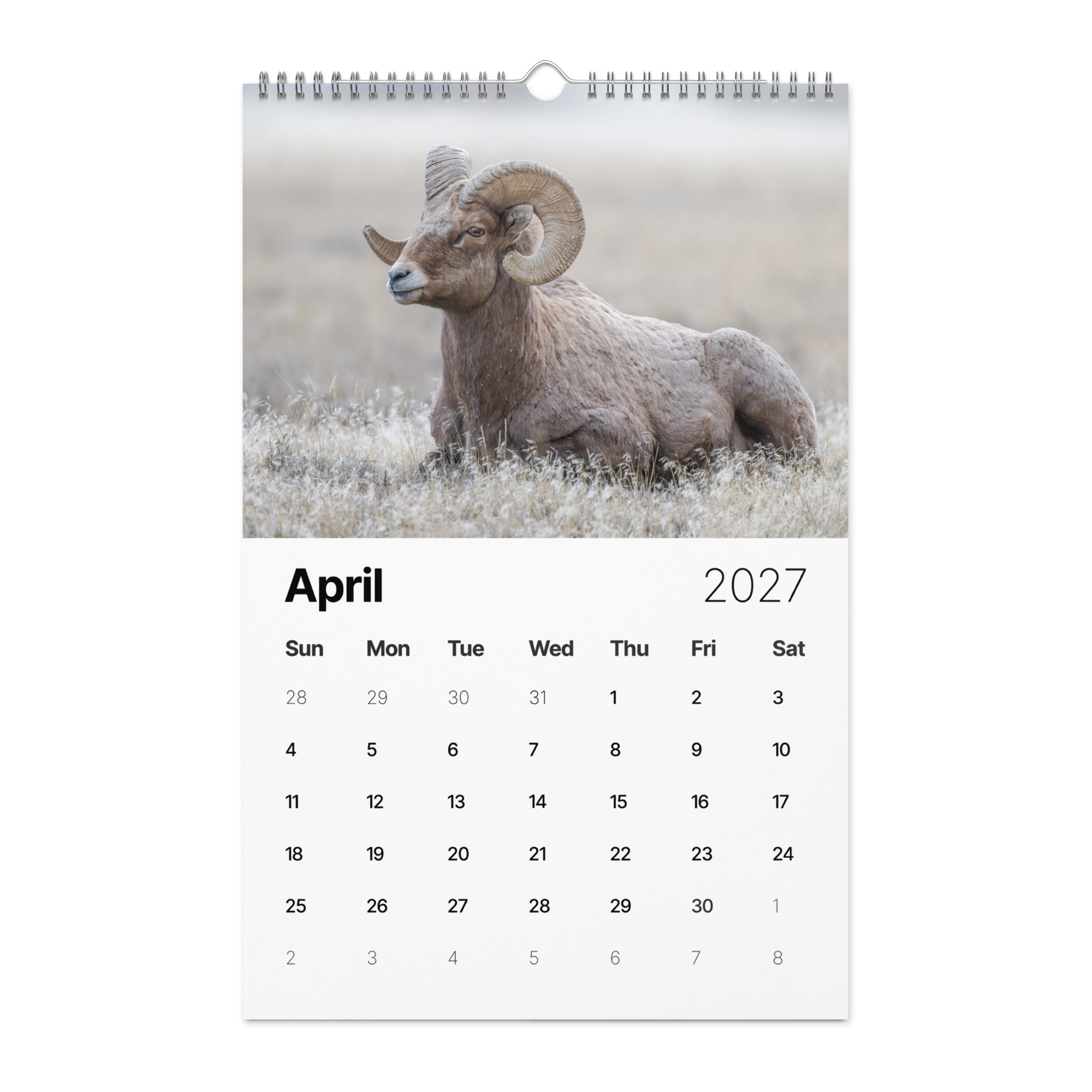 A Year in the Wild: 2027 Wildlife Photography Wall Calendar – Birds & Mammals in Their Natural Habitats - Image 5