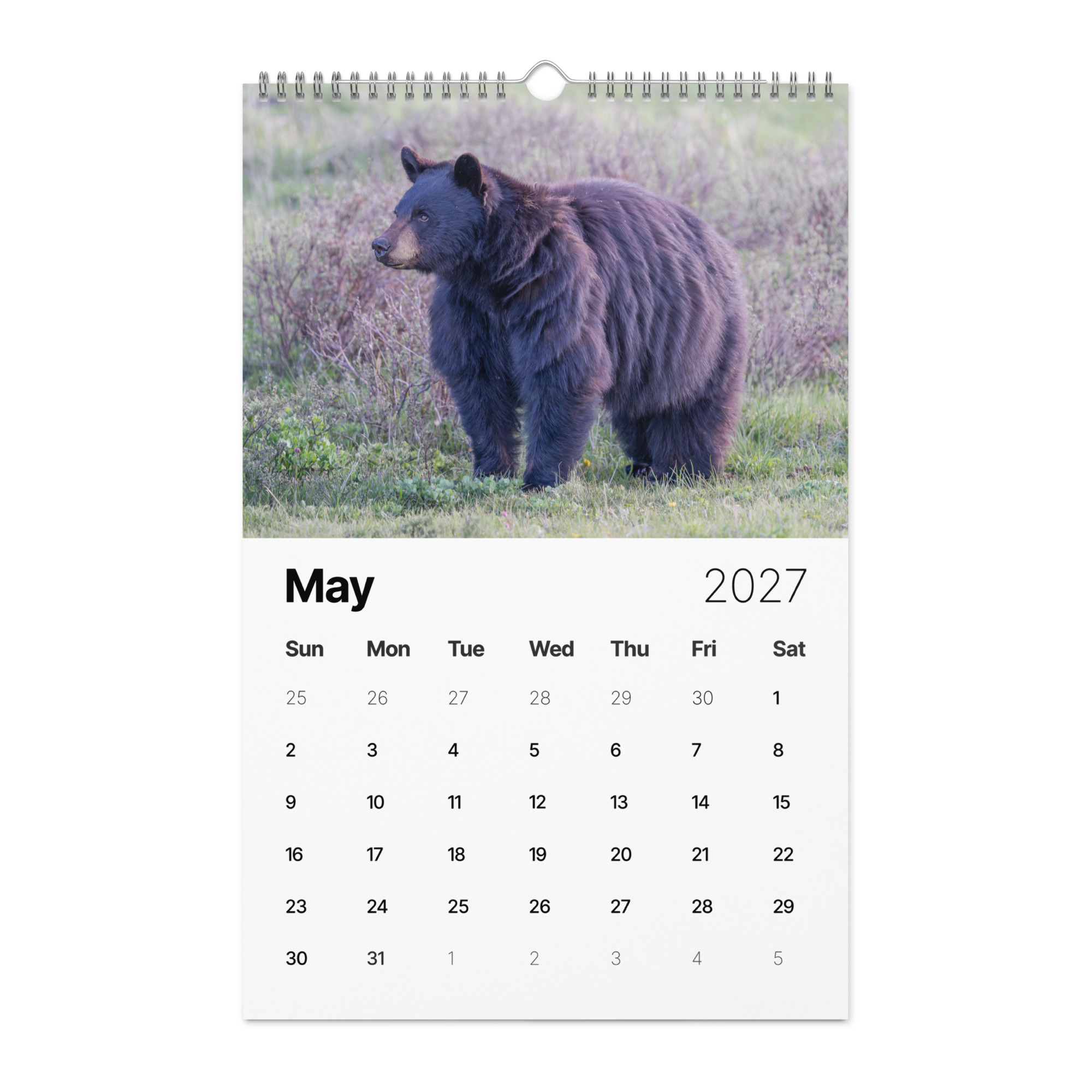 A Year in the Wild: 2027 Wildlife Photography Wall Calendar – Birds & Mammals in Their Natural Habitats - Image 6