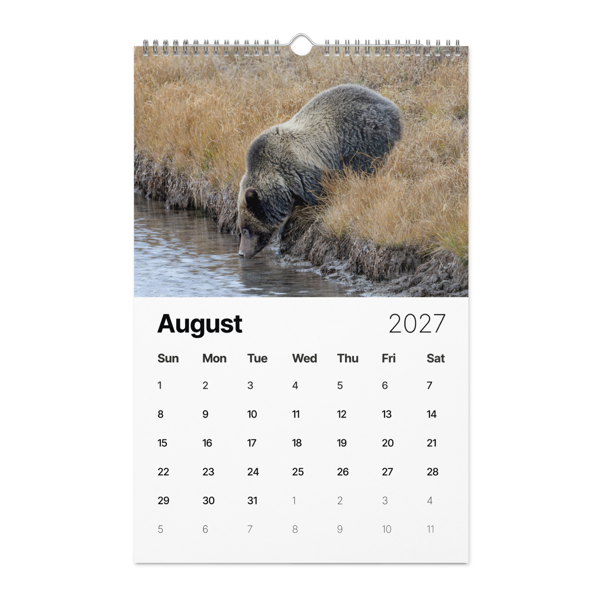A Year in the Wild: 2027 Wildlife Photography Wall Calendar – Birds & Mammals in Their Natural Habitats - Image 9