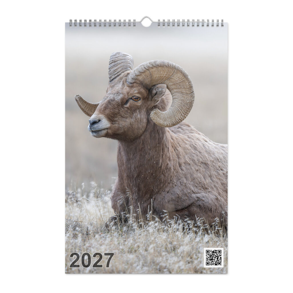 A Year in the Wild: 2027 Wildlife Photography Wall Calendar – Birds & Mammals in Their Natural Habitats
