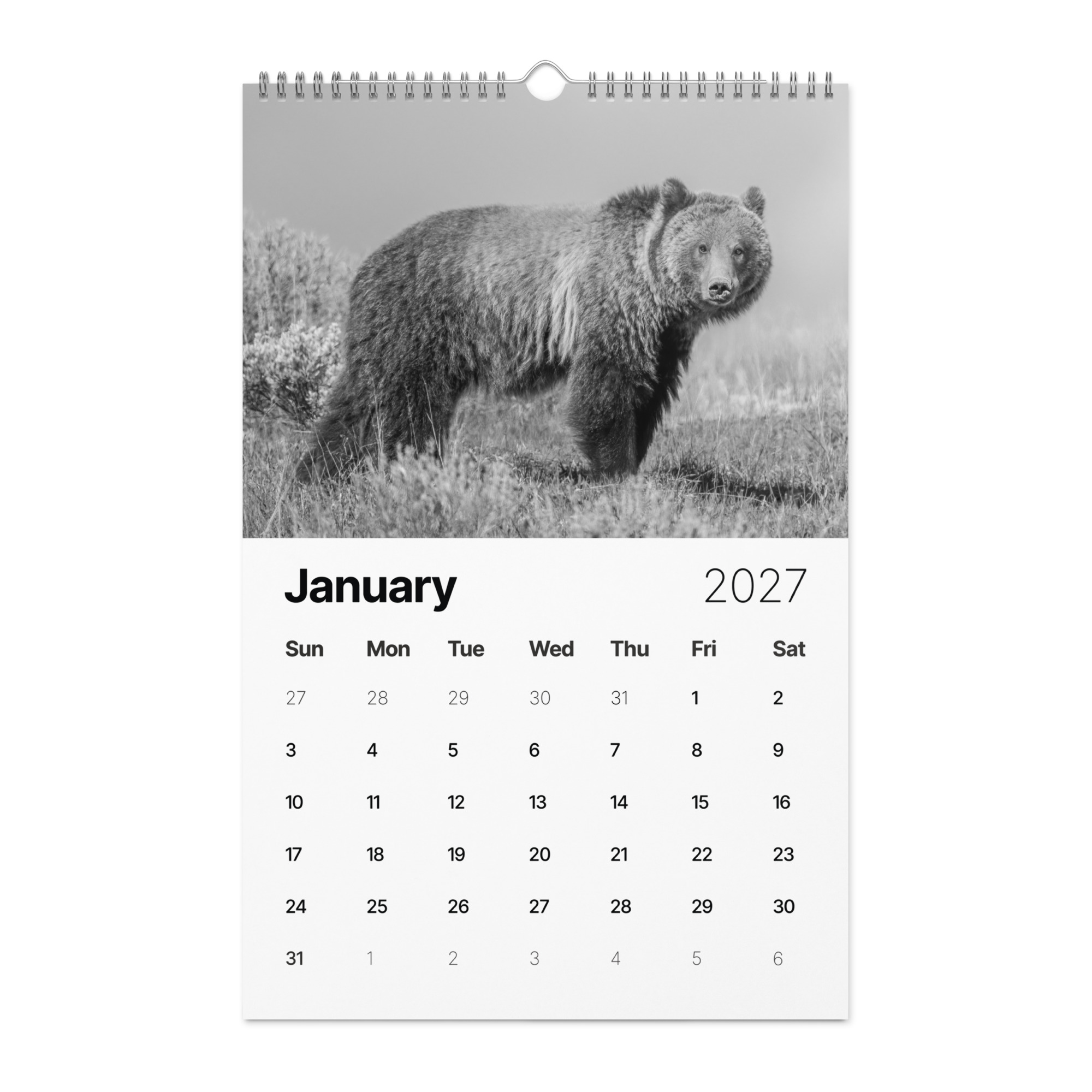A Year in the Wild: Monochrome 2027 Wildlife Photography Wall Calendar – Birds & Mammals in Their Natural Habitats - Image 2