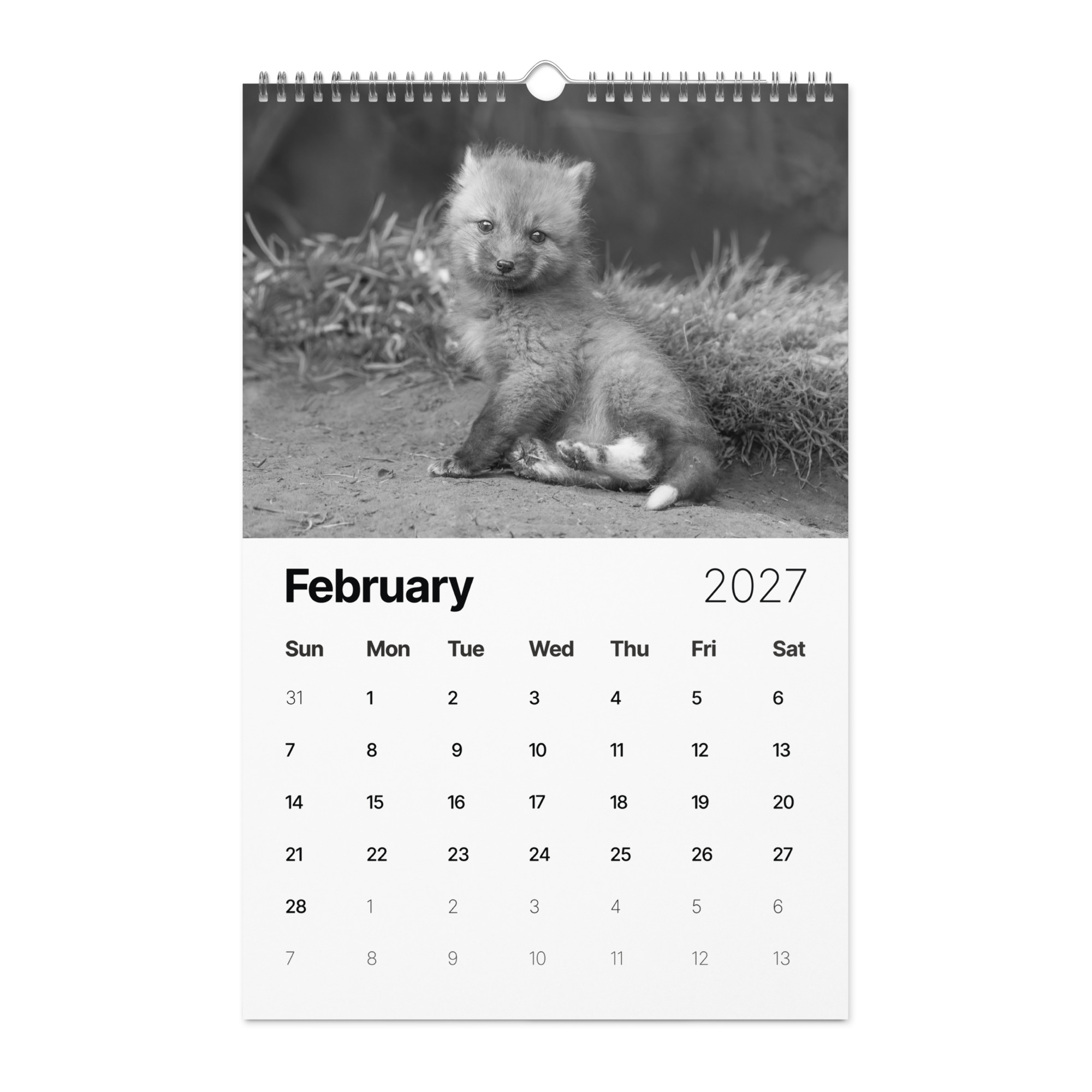 A Year in the Wild: Monochrome 2027 Wildlife Photography Wall Calendar – Birds & Mammals in Their Natural Habitats - Image 3