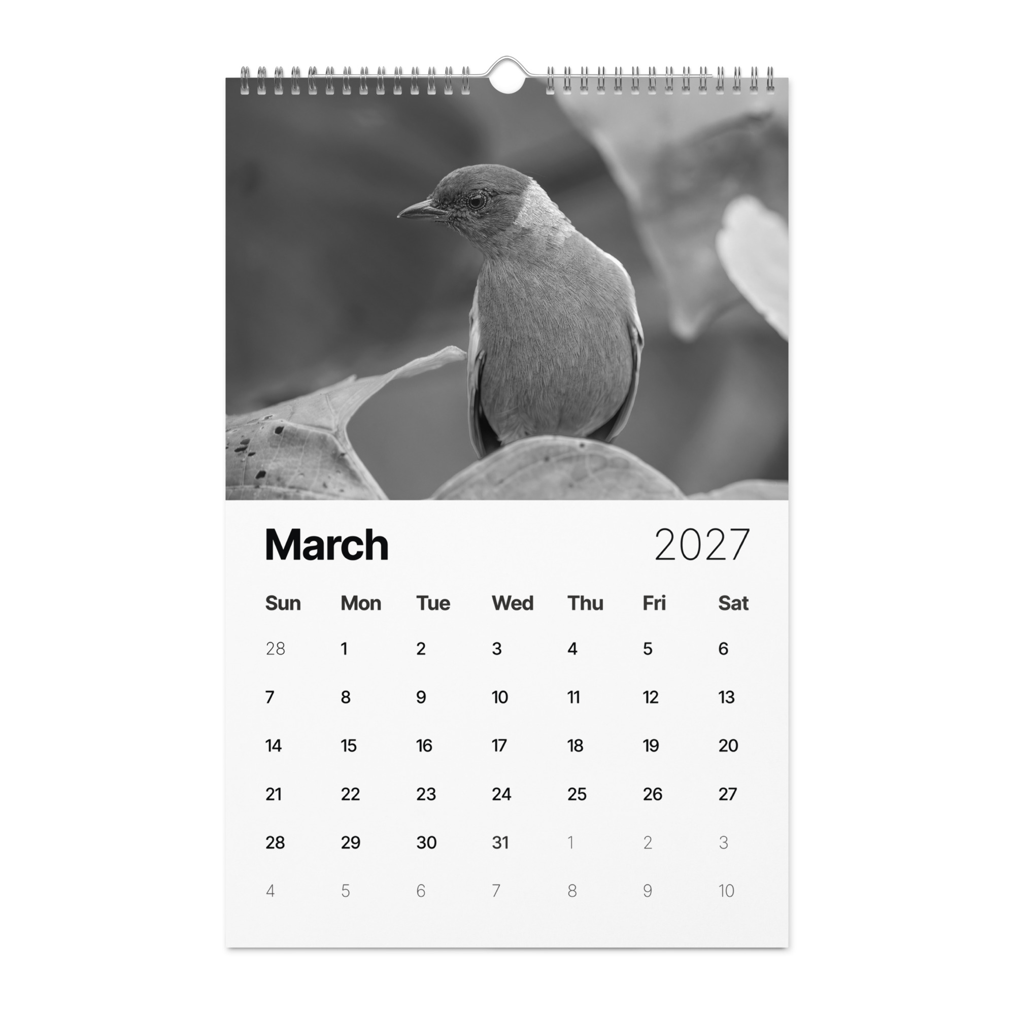 A Year in the Wild: Monochrome 2027 Wildlife Photography Wall Calendar – Birds & Mammals in Their Natural Habitats - Image 4
