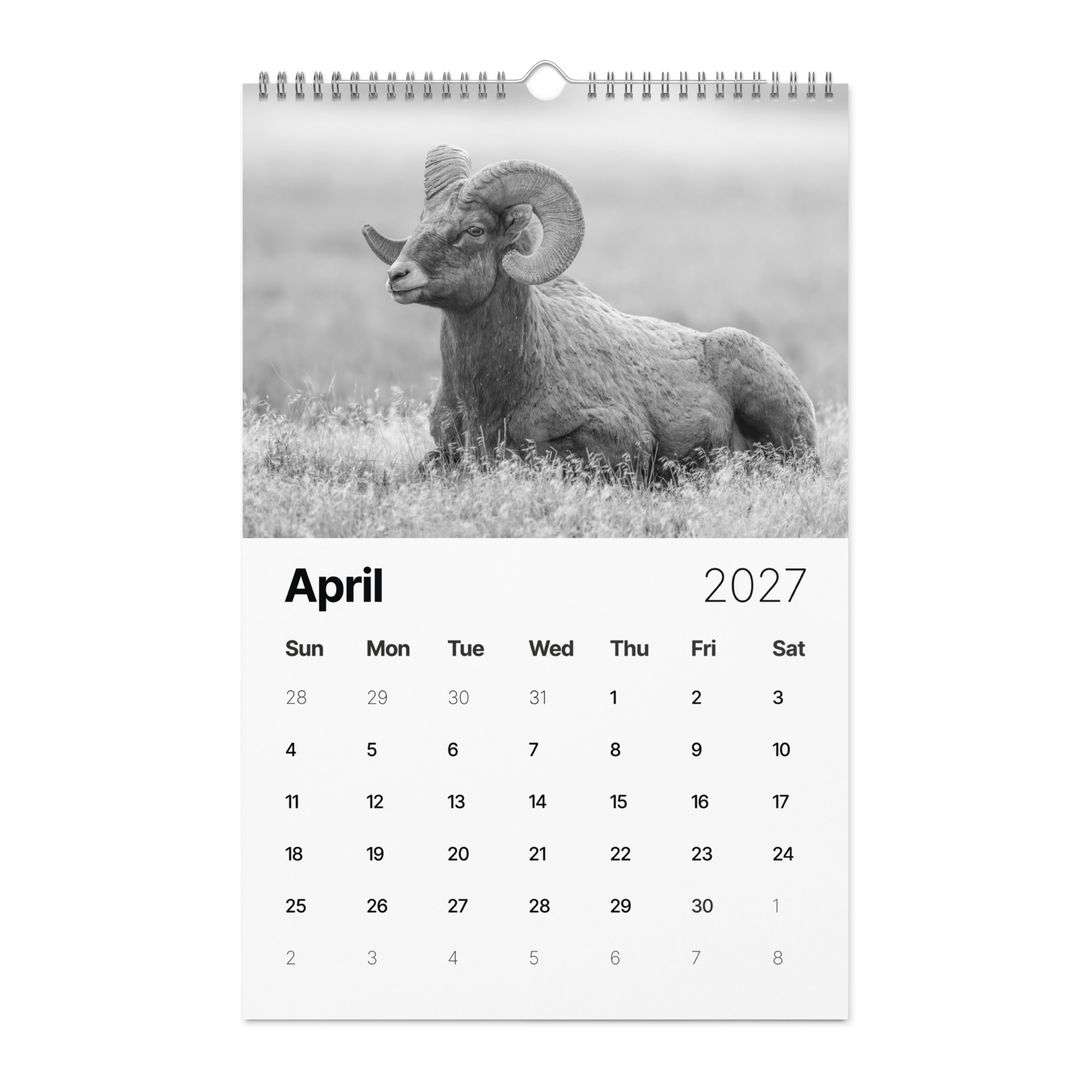 A Year in the Wild: Monochrome 2027 Wildlife Photography Wall Calendar – Birds & Mammals in Their Natural Habitats - Image 5
