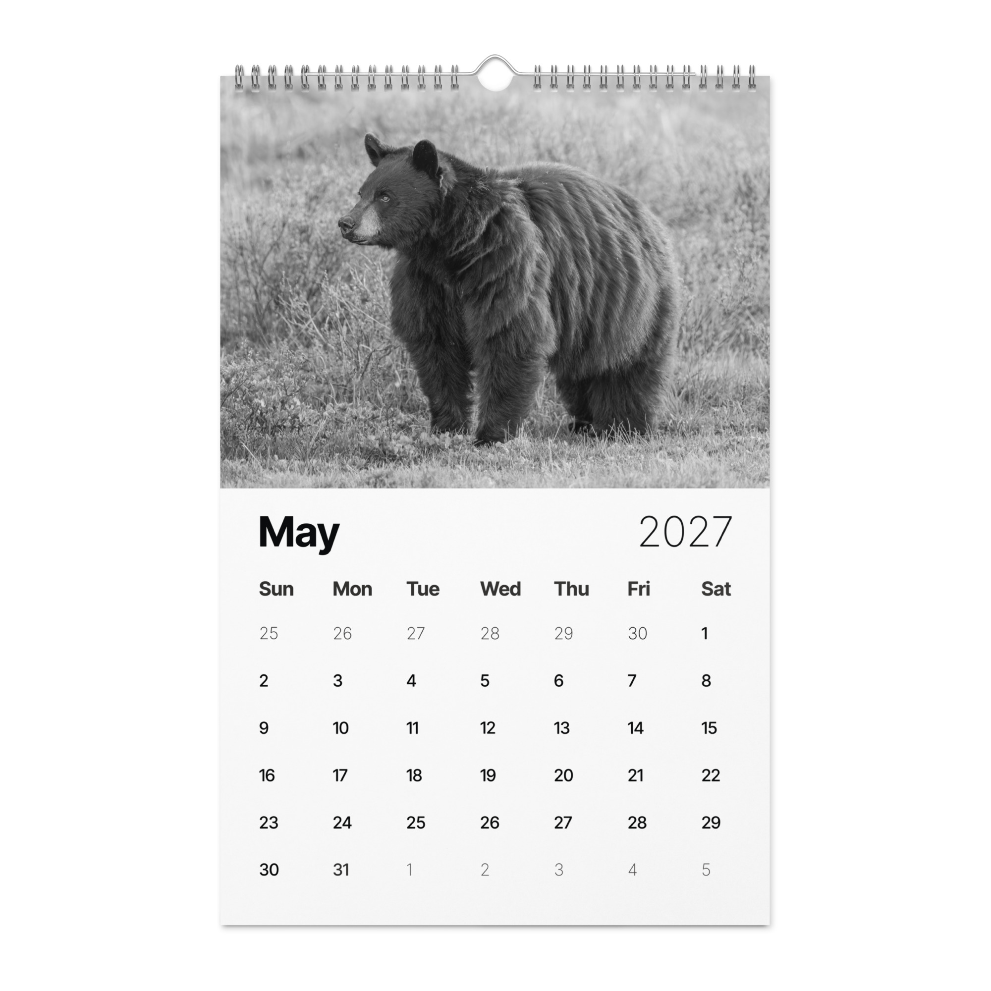 A Year in the Wild: Monochrome 2027 Wildlife Photography Wall Calendar – Birds & Mammals in Their Natural Habitats - Image 6