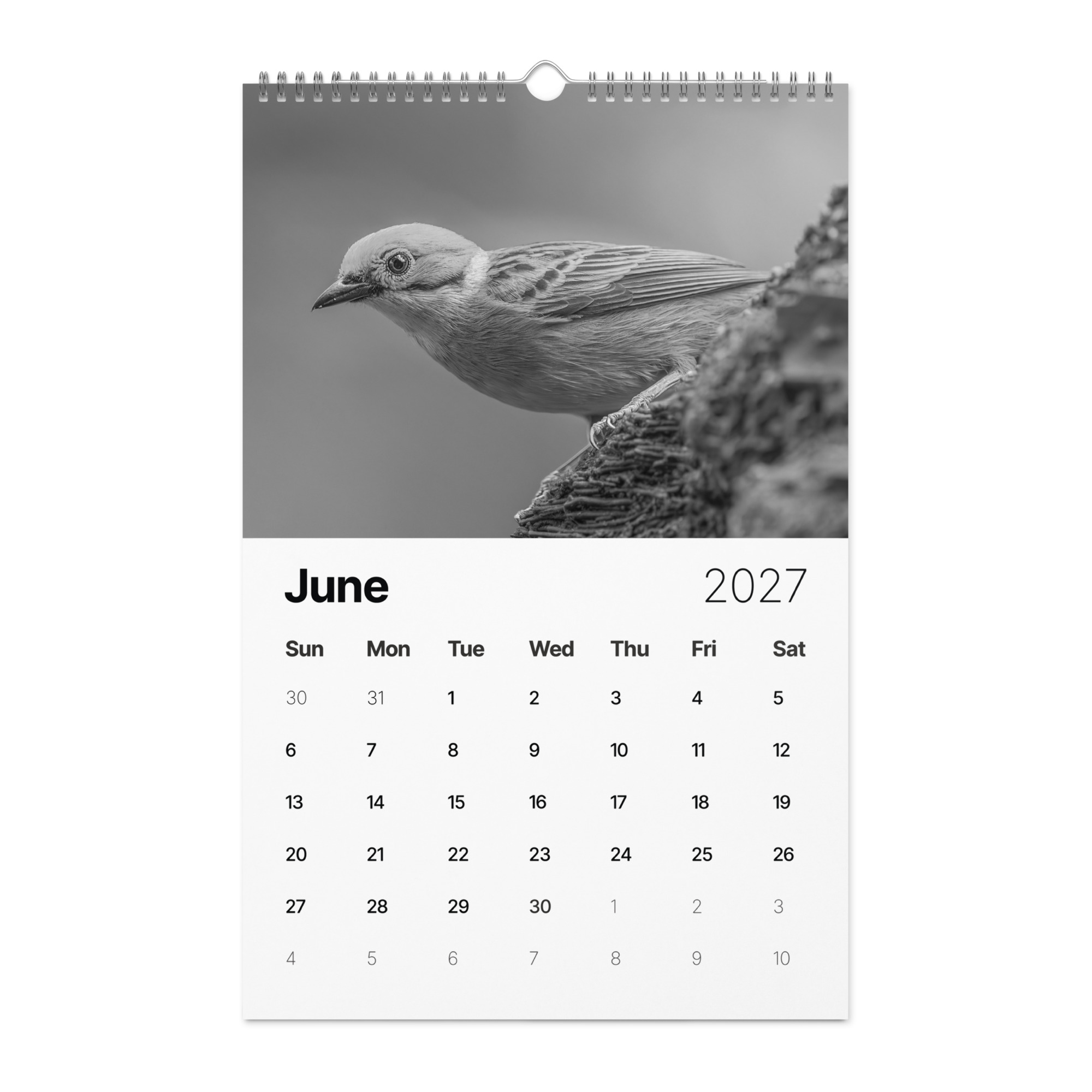 A Year in the Wild: Monochrome 2027 Wildlife Photography Wall Calendar – Birds & Mammals in Their Natural Habitats - Image 7