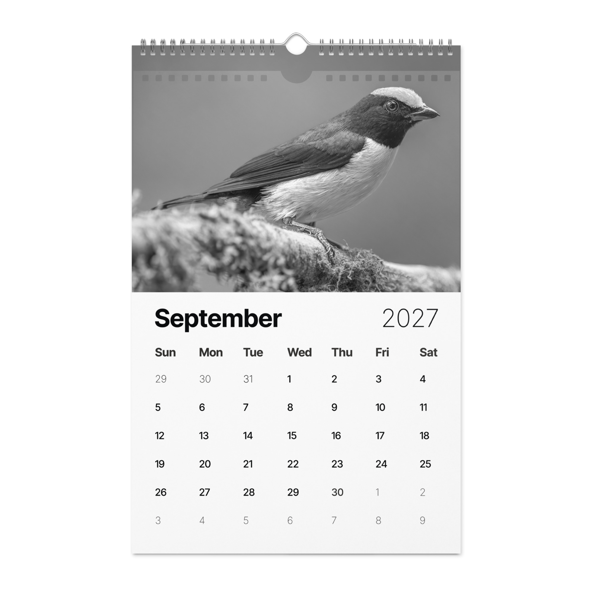 A Year in the Wild: Monochrome 2027 Wildlife Photography Wall Calendar – Birds & Mammals in Their Natural Habitats - Image 10