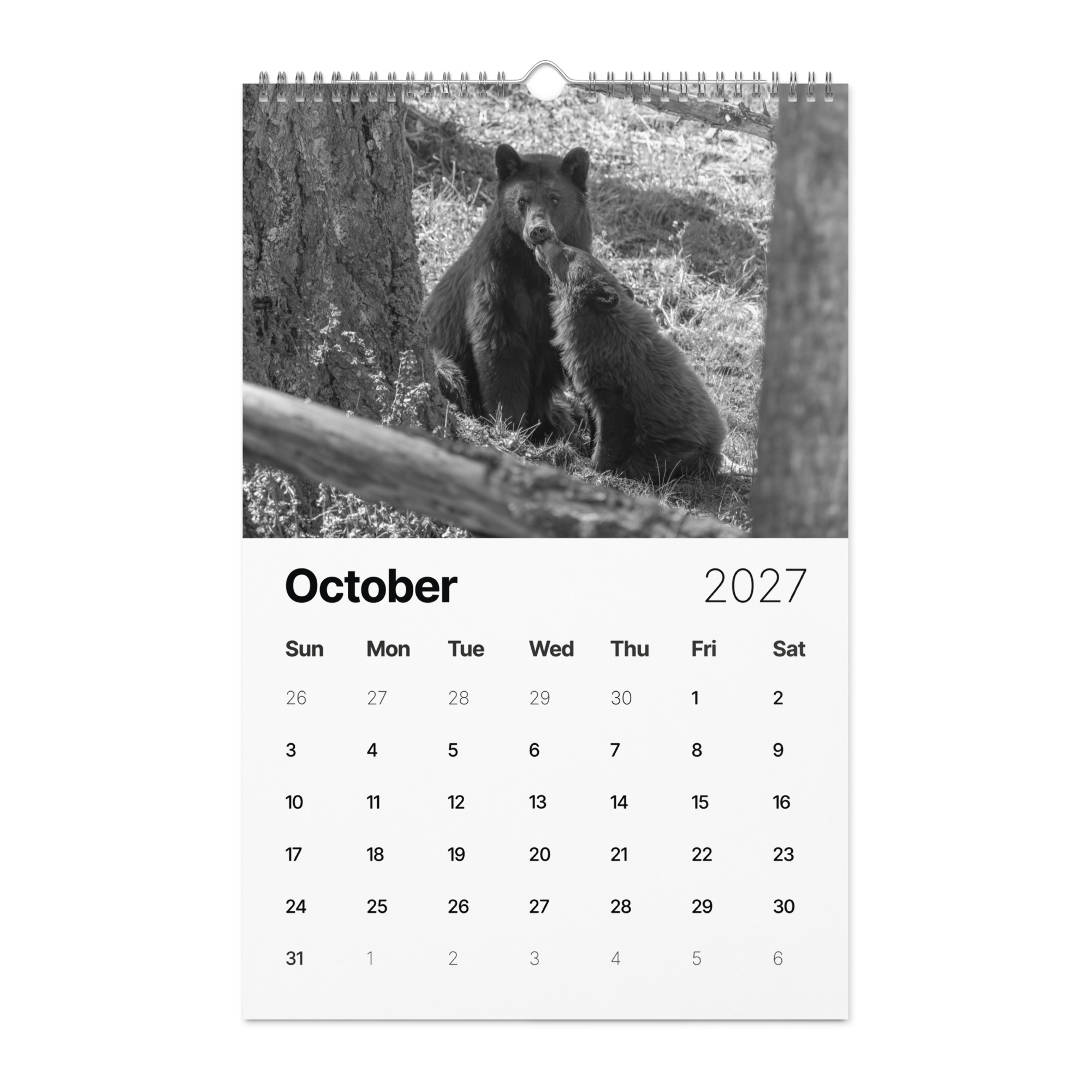 A Year in the Wild: Monochrome 2027 Wildlife Photography Wall Calendar – Birds & Mammals in Their Natural Habitats - Image 11